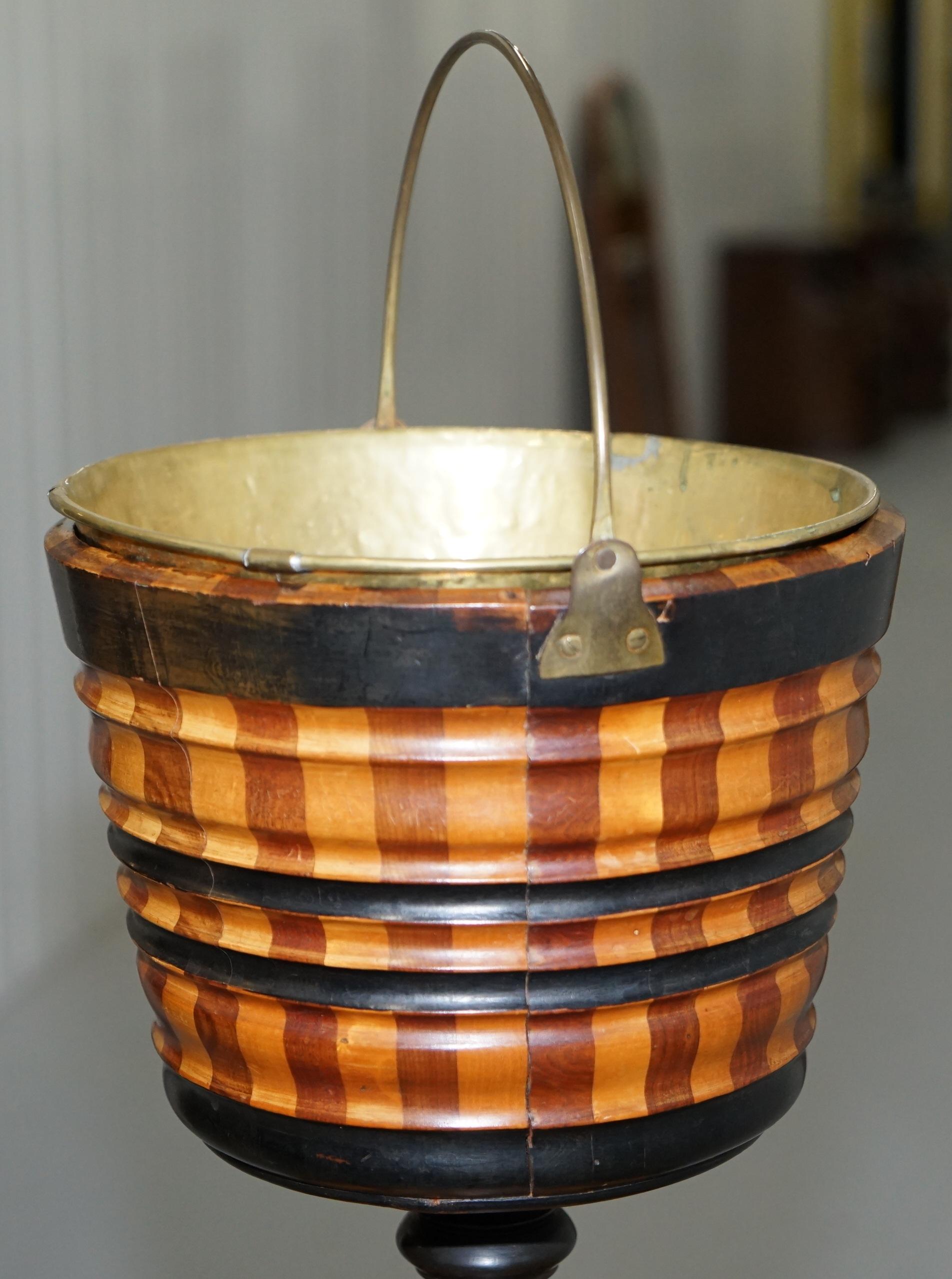 Maple & Ebony Biedermeier Peat Bucket for Coal Brass Lined Great Bin Planter 8