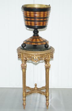Maple & Ebony Biedermeier Peat Bucket for Coal Brass Lined Great Bin Planter