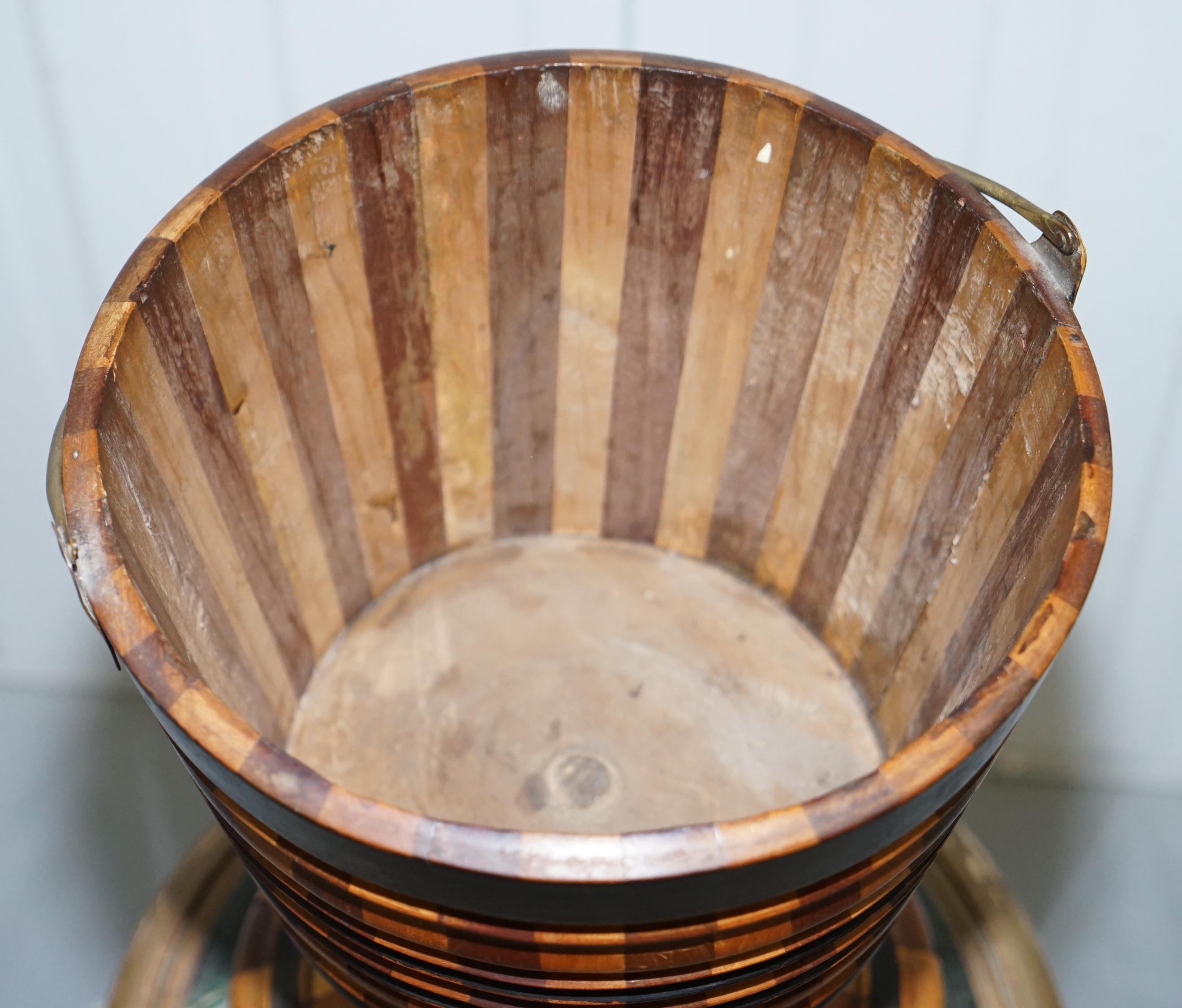 Maple & Ebony Biedermeier Peat Bucket for Coal Brass Lined Great Bin Planter 3