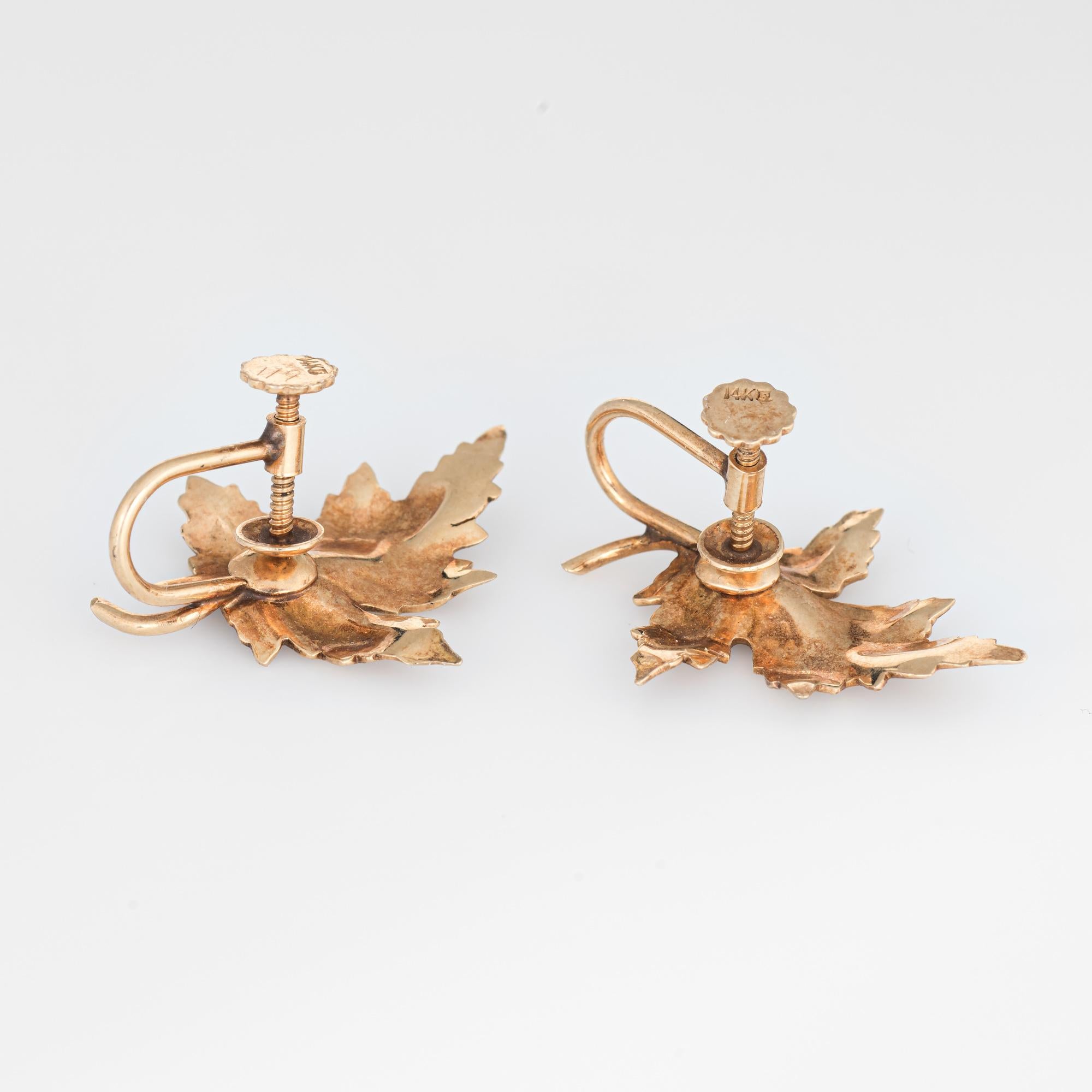 Stylish pair of vintage maple leaf earrings (circa 1950s to 1960s) crafted in 14k yellow gold. 

The charming maple leaf earrings are designed with lifelike details of veins to the leaves and a textured muted gold finish. Ideal for day or evening