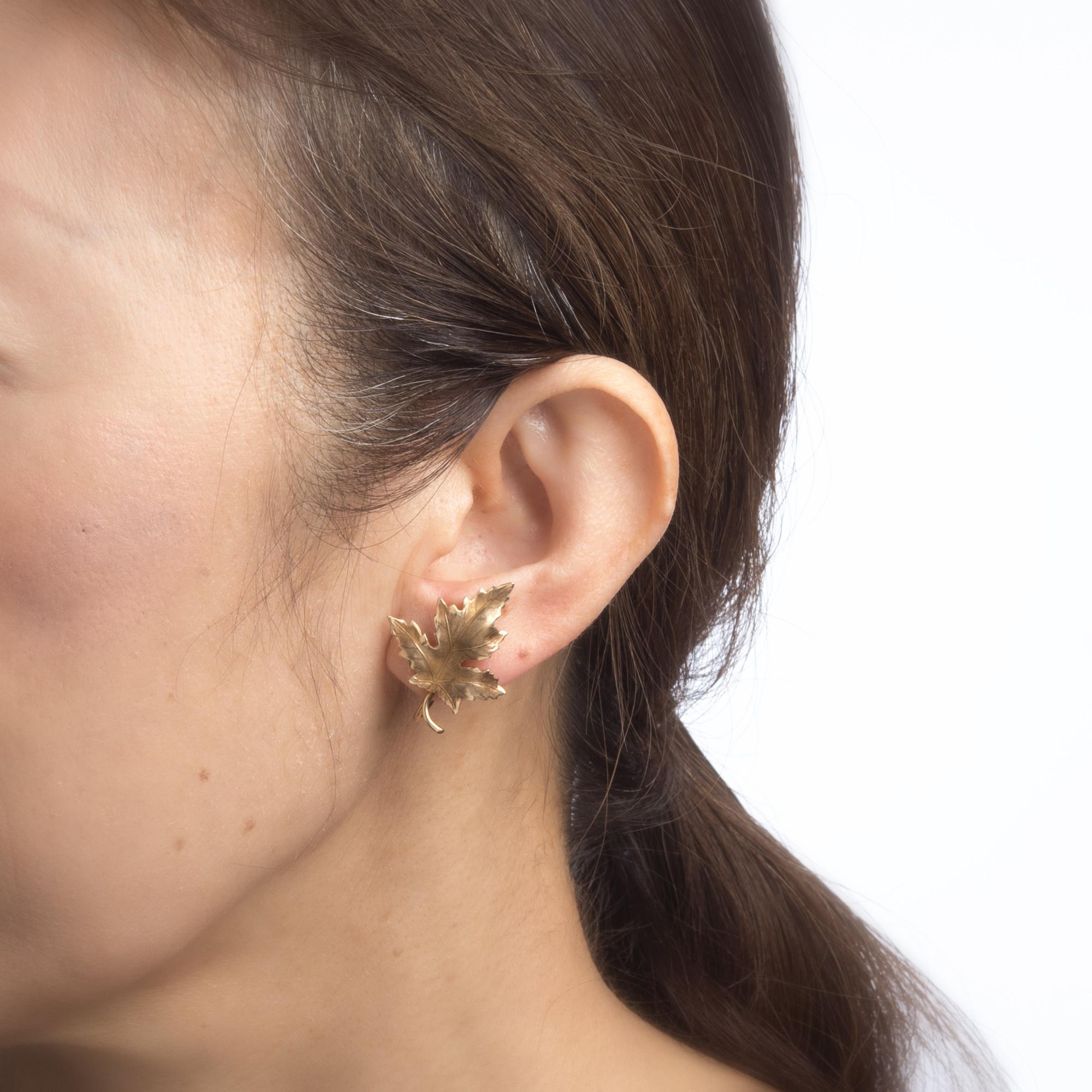 gold maple leaf earrings