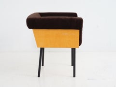 Chaise club en contreplaqué d'érable
