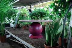 SPHERE Mappa Burl Veneer Solid Wood Pink Coffee Table