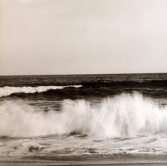 Mapplethorpe by Robert Mapplethorpe, Intro. by Arthur Coleman Danto