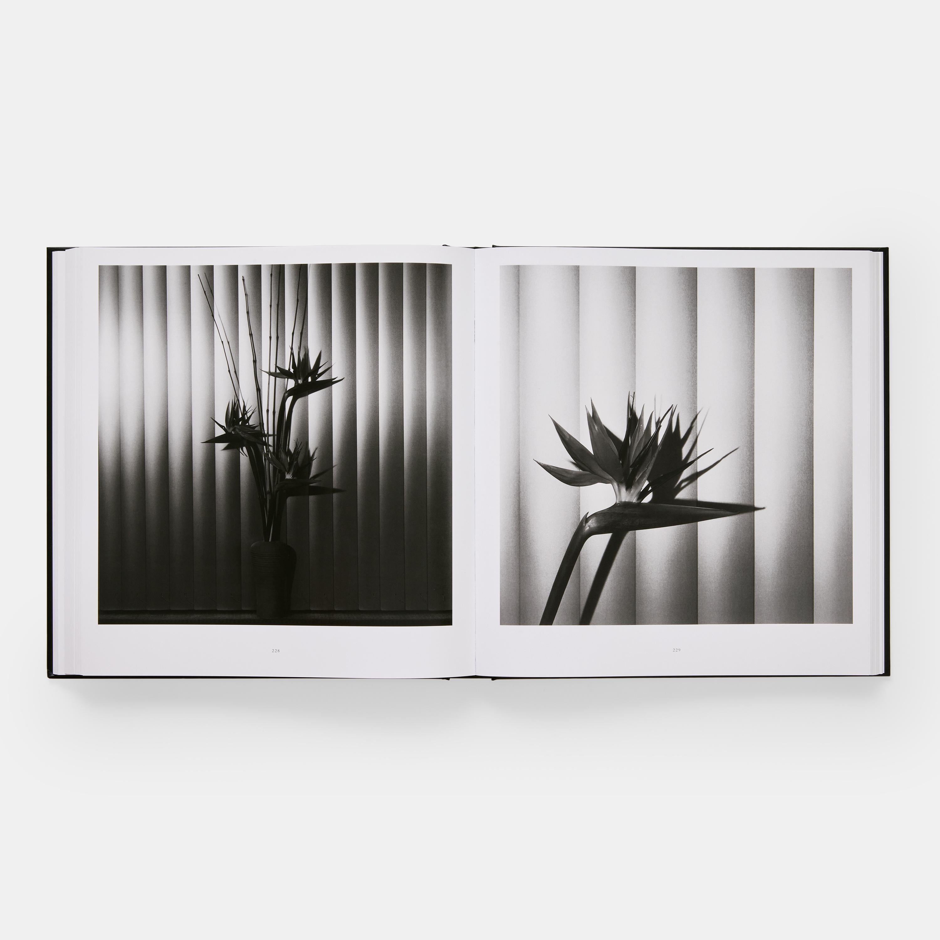 Mapplethorpe Flora en vente 5