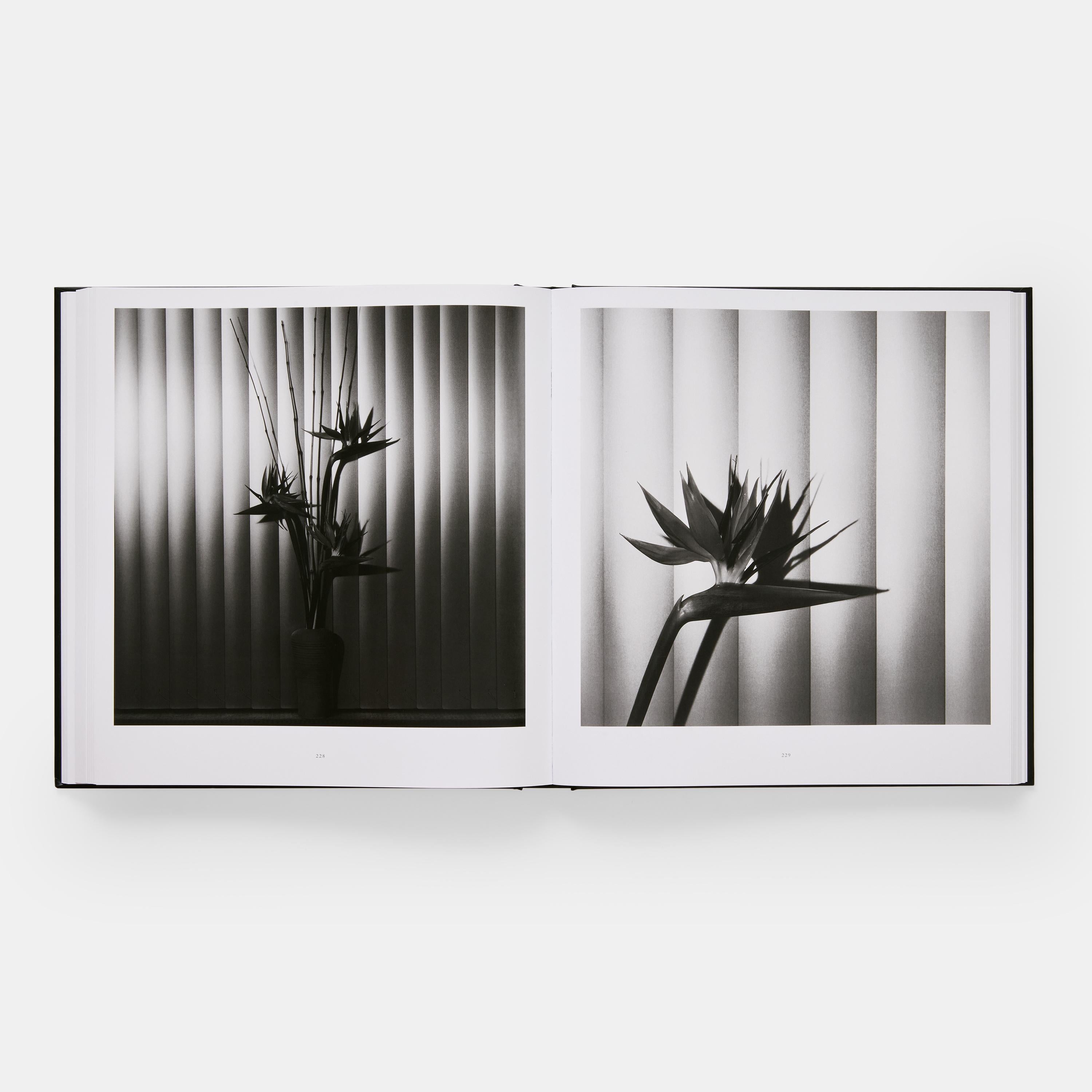 Mapplethorpe Flora For Sale 5