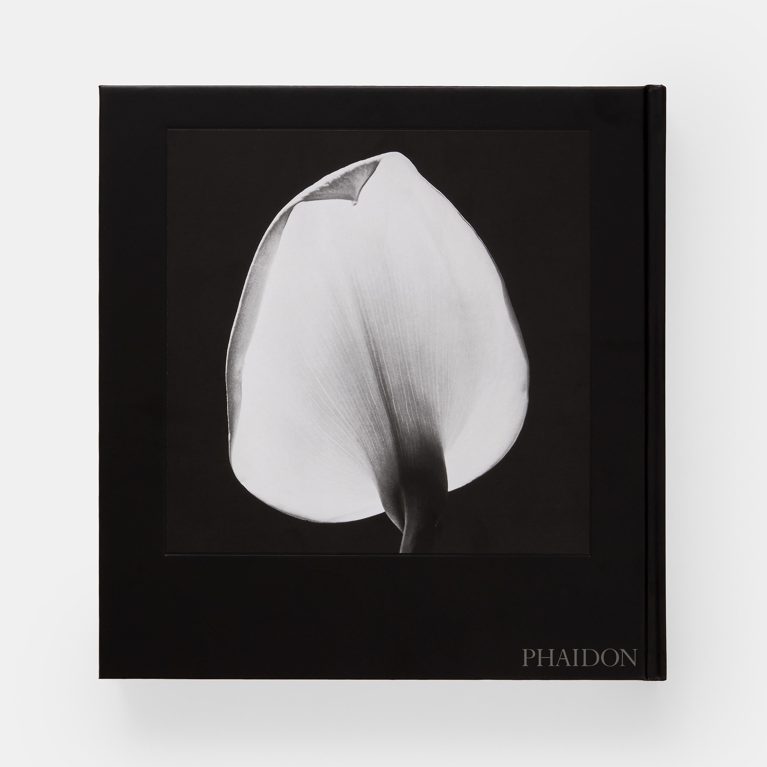 Paper Mapplethorpe Flora For Sale