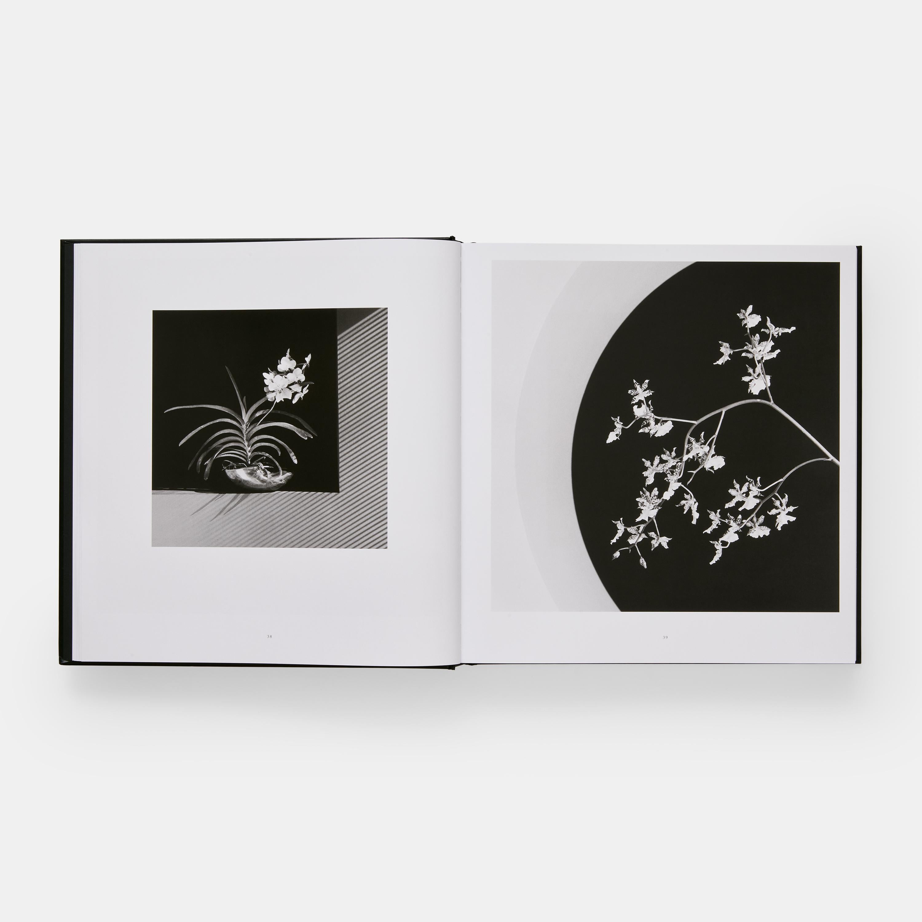 Mapplethorpe Flora en vente 2