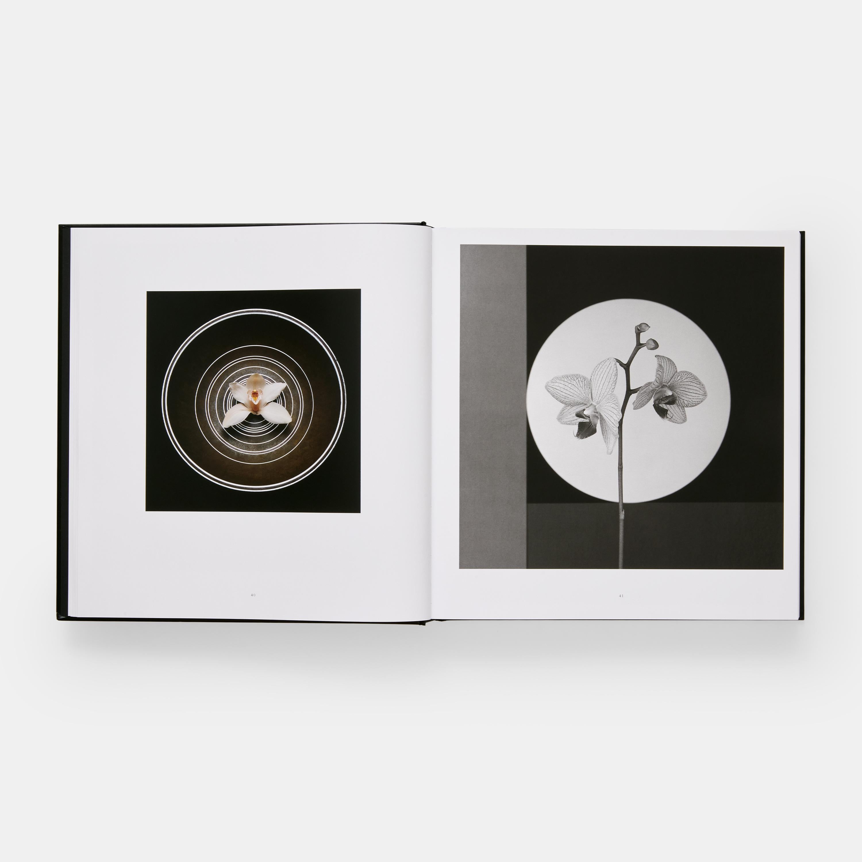 Mapplethorpe Flora en vente 3