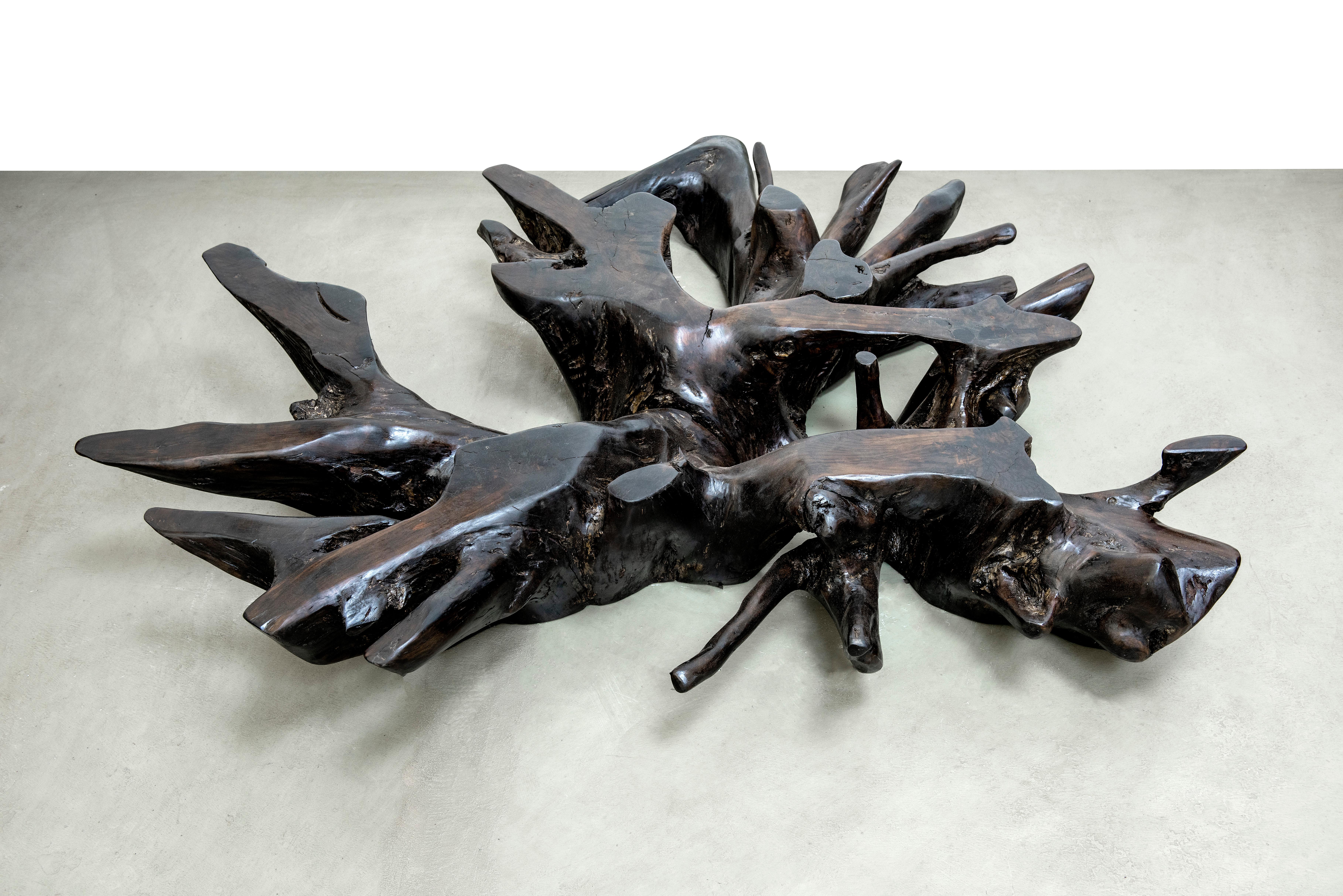 XXIe siècle et contemporain Table basse Maracá en Wood Wood par Hugo França en vente