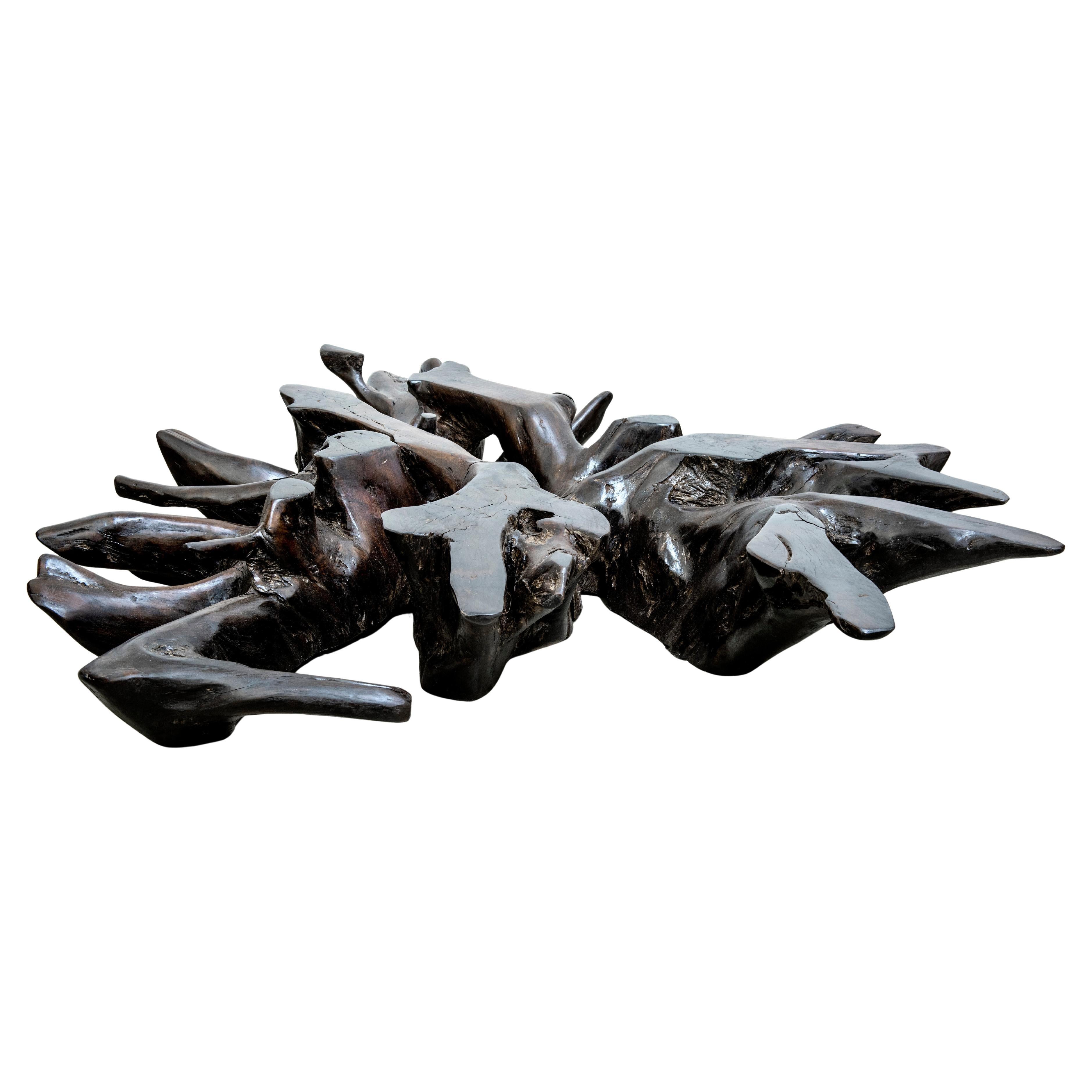 Table basse Maracá en Wood Wood par Hugo França en vente