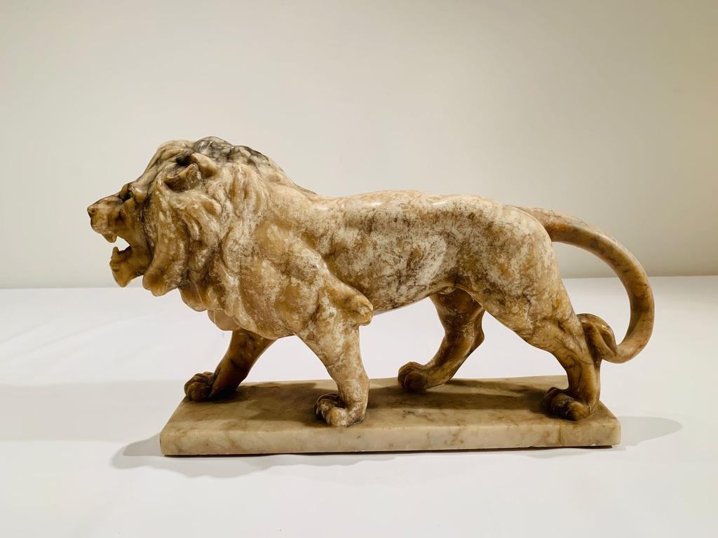 Incroyable Lion en marbre d'albâtre marchant vers 1900.