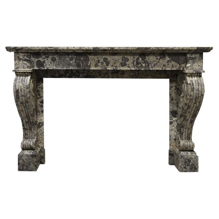 Marble and Dutch fireplace from the 19th Century For Sale