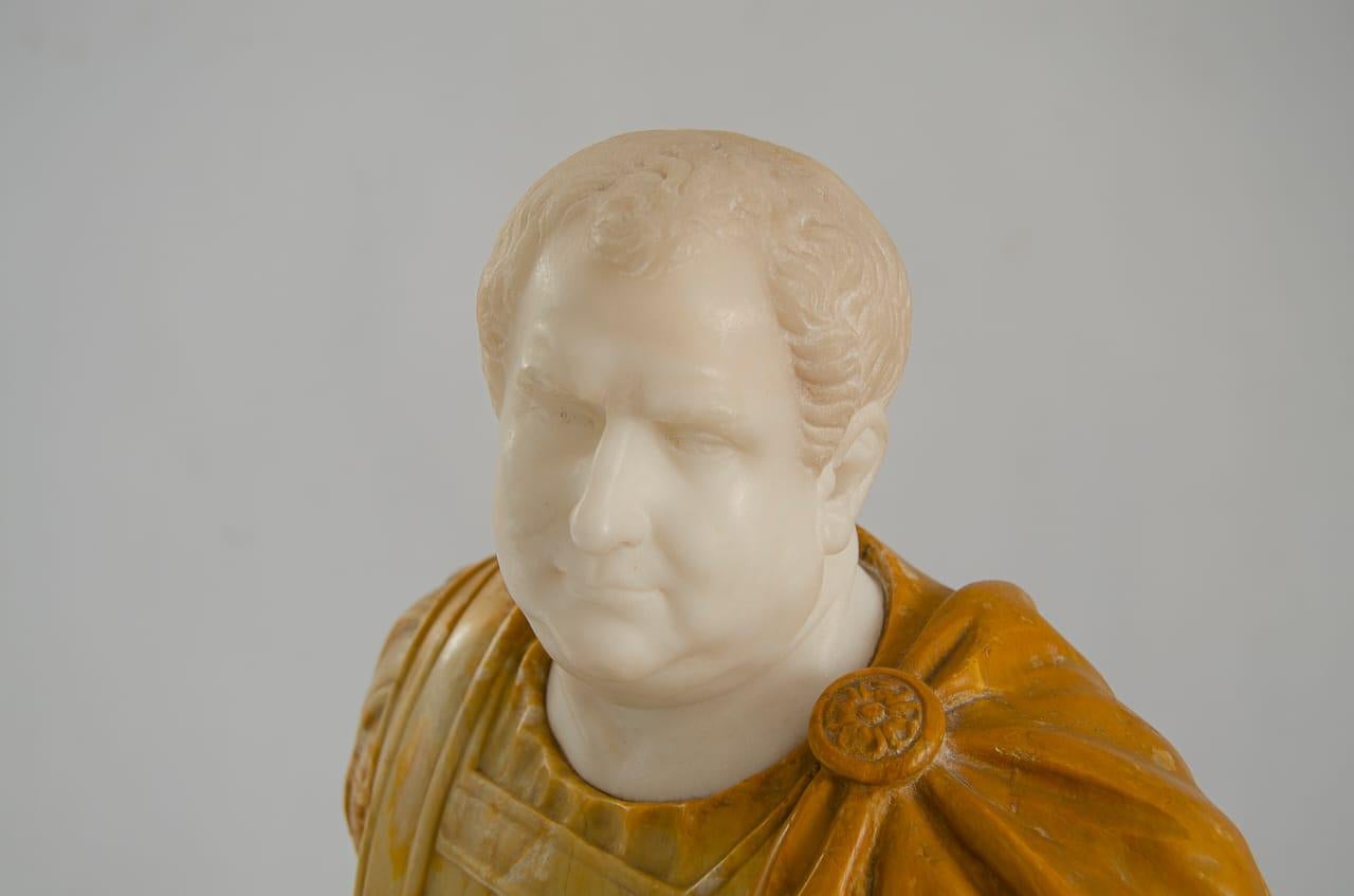Marble bust (Emperor Vitelius)
circa 19.
White marble and sienna yellow marble
originates from Italy.
 