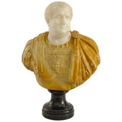 Marble Bust 'Emperor Vitelius'