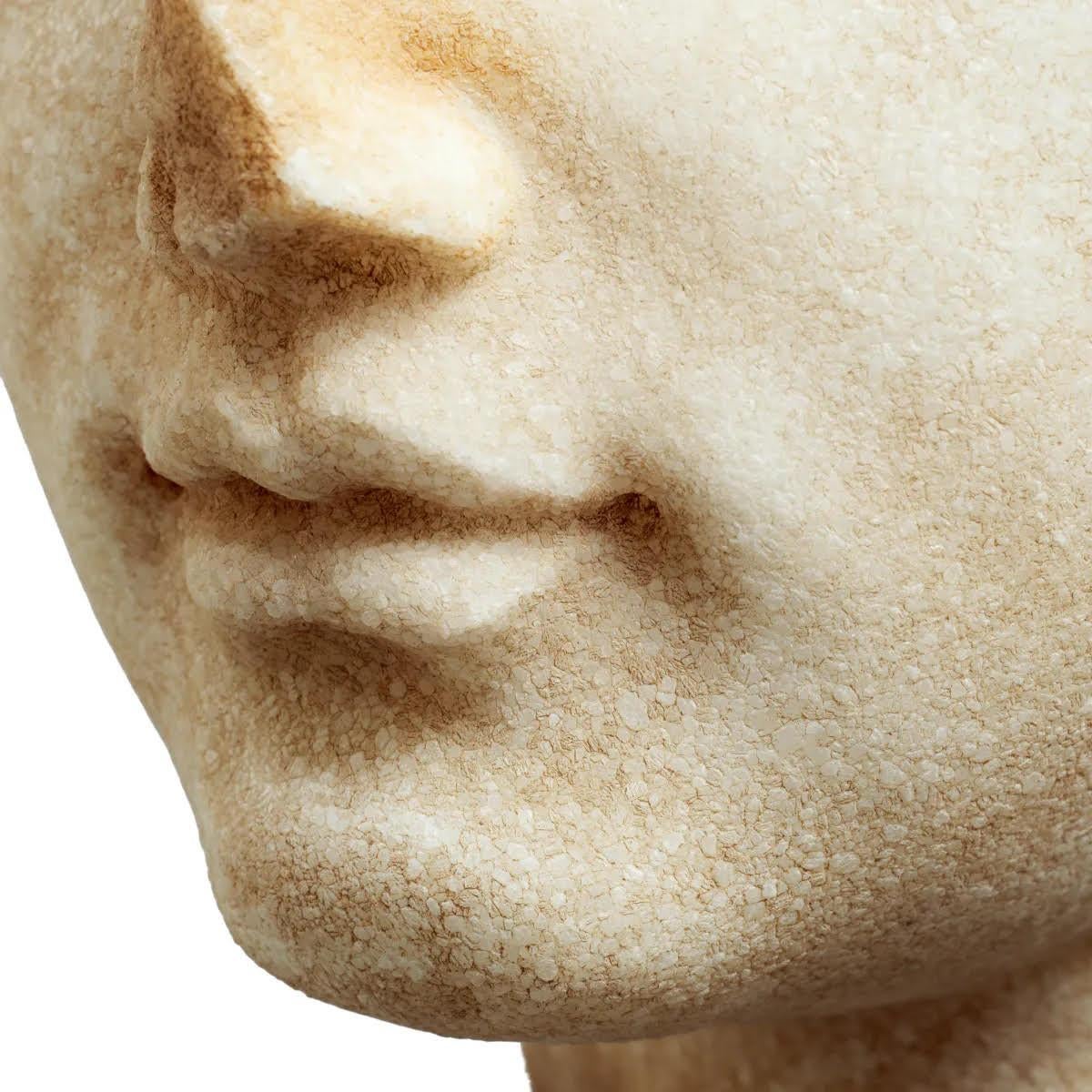 Marble Bust of a Young Roman Man, Patinated Marble, Contemporary Work. For Sale 1