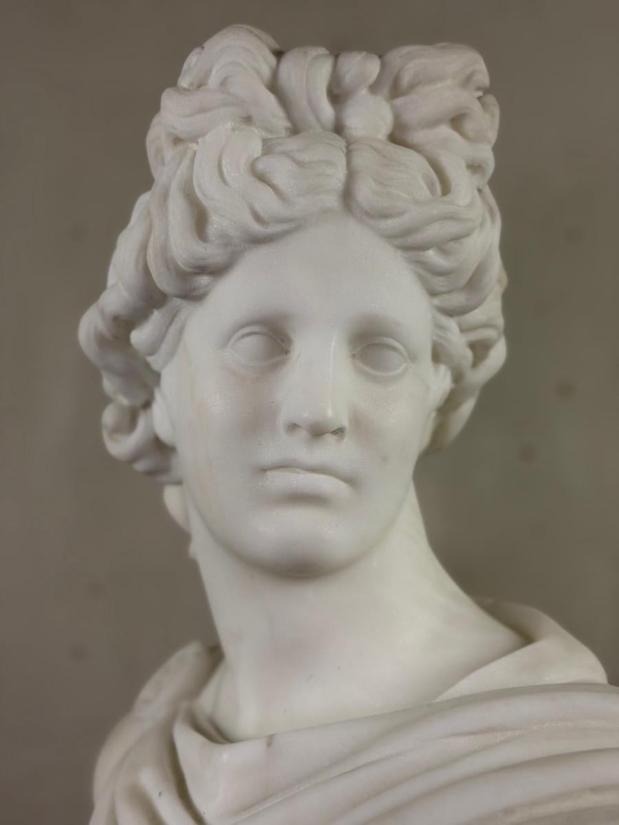 Busto di Apollo in marmo, 1880 circa in vendita 1