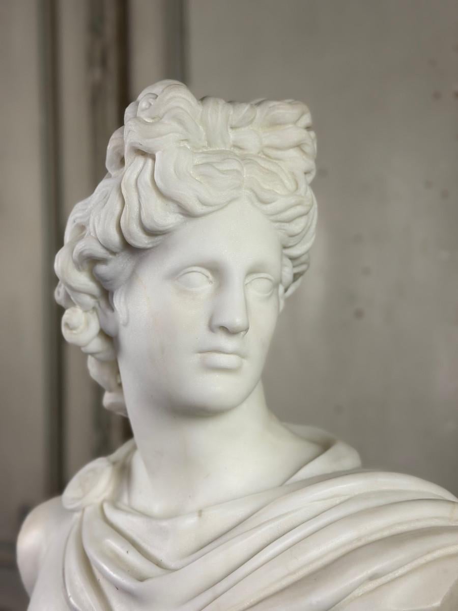 Busto di Apollo in marmo, 1880 circa in vendita 2