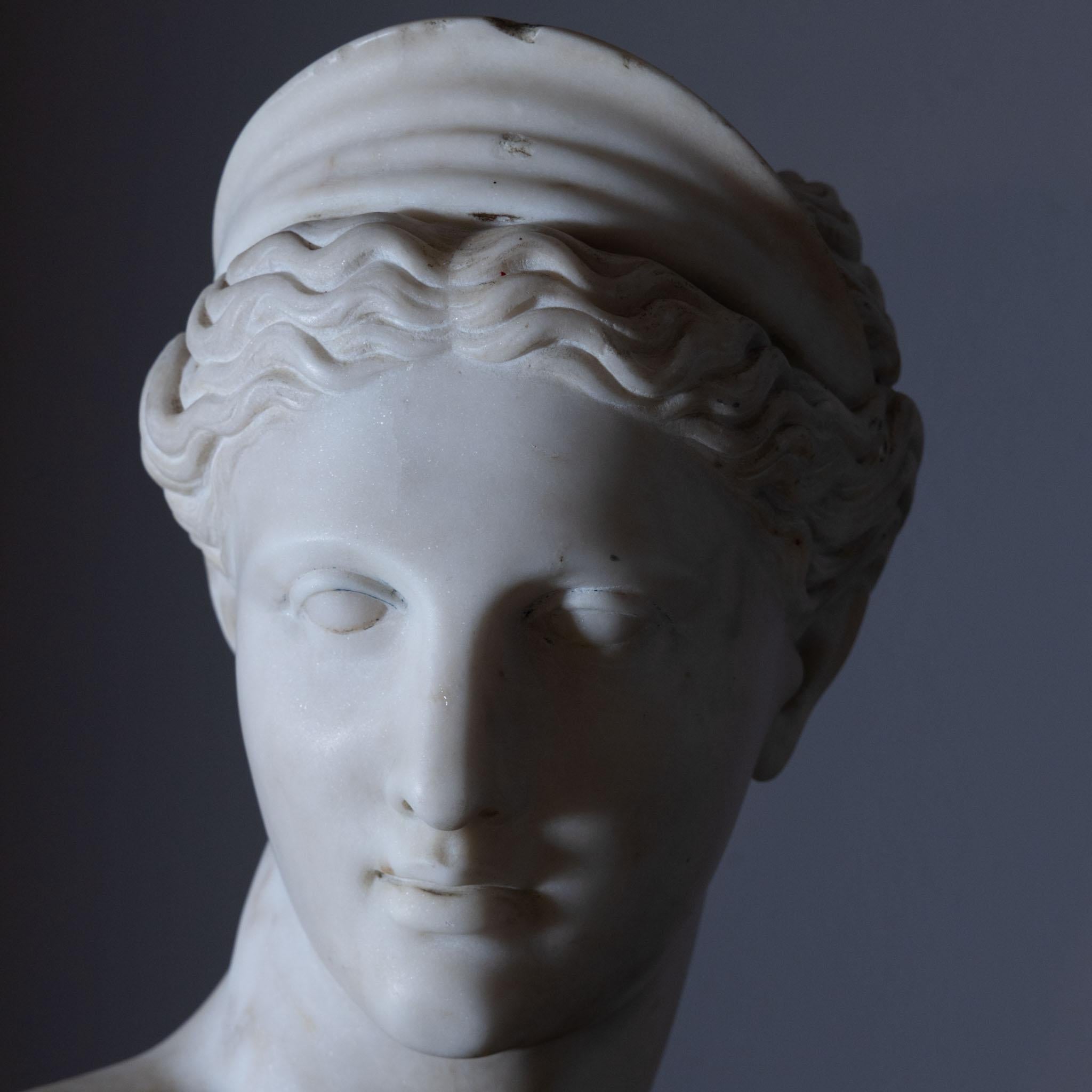 Marble Bust of Diana by Ferdinand Vichi, circa 1900 1