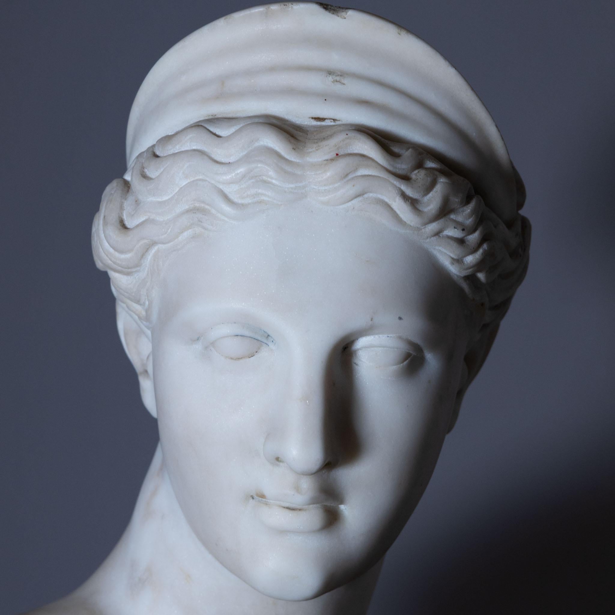 Marble Bust of Diana by Ferdinand Vichi, circa 1900 5