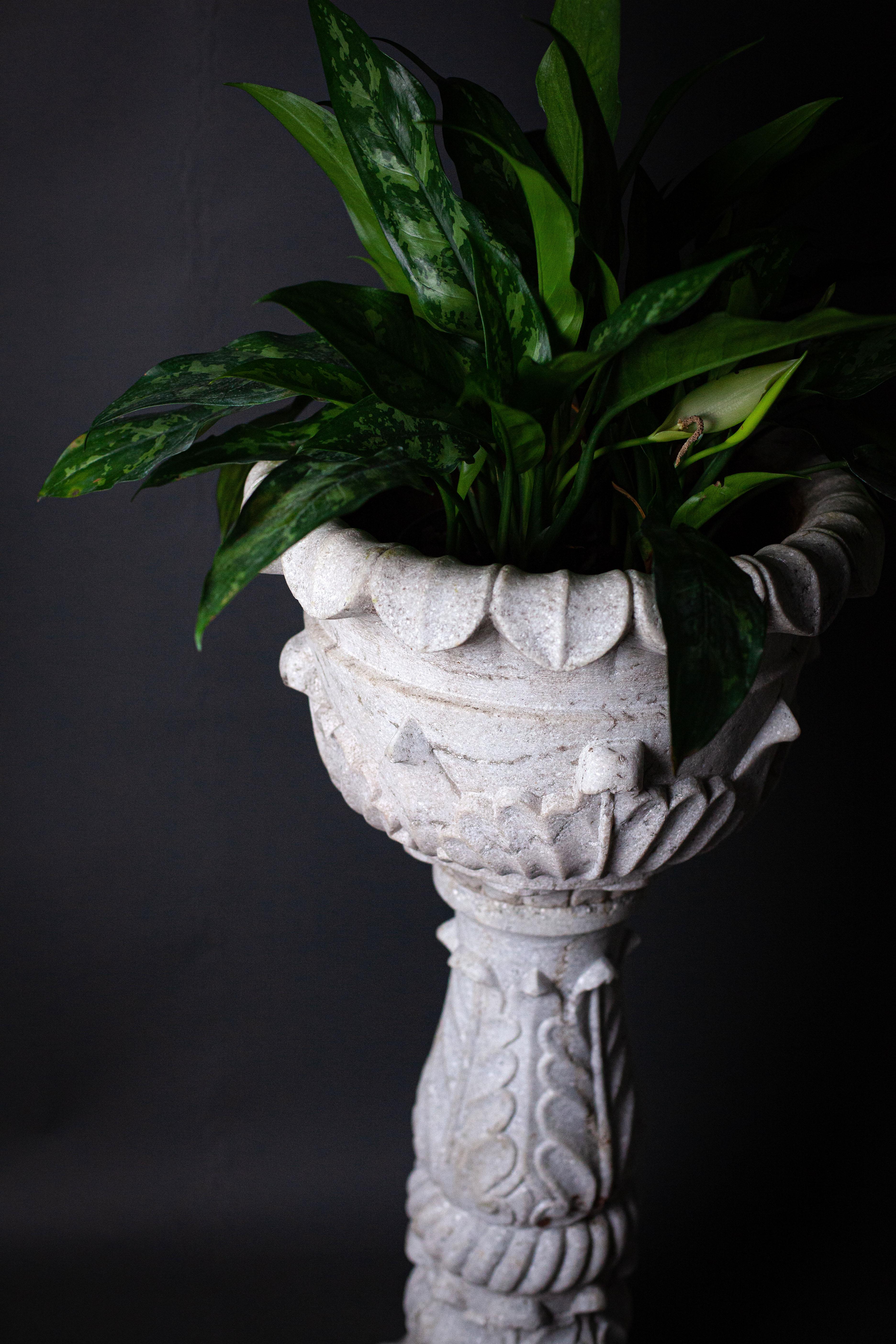 Marble Carved Jardiniere and Stand 3