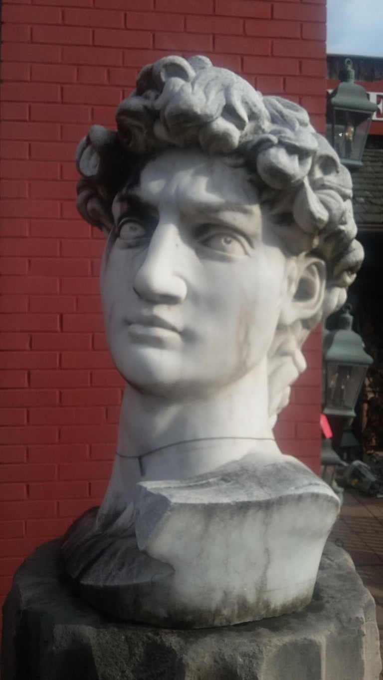 Marble Head Sculpture of David For Sale at 1stdibs