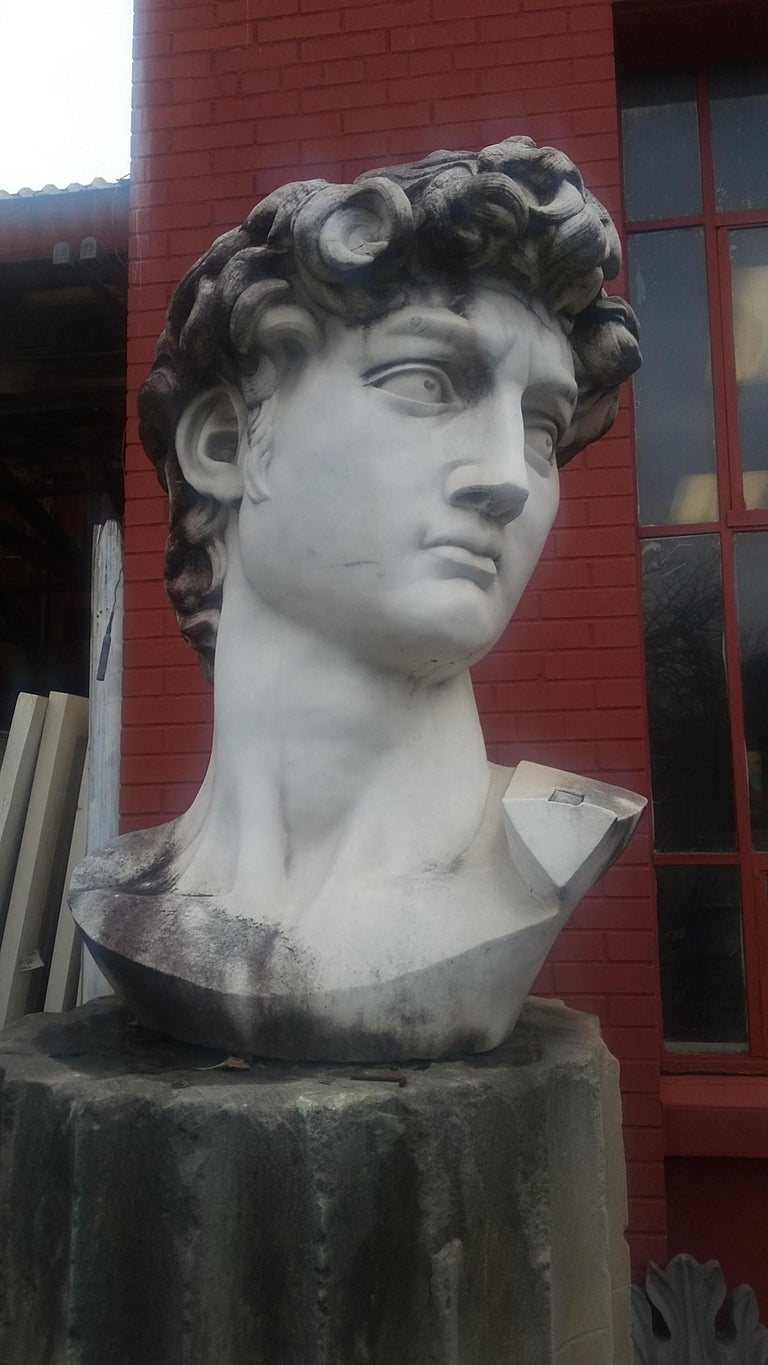 Marble Head Sculpture of David For Sale at 1stdibs