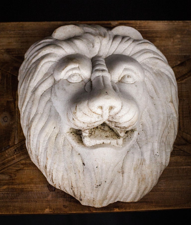 Marble Lion Head at 1stDibs