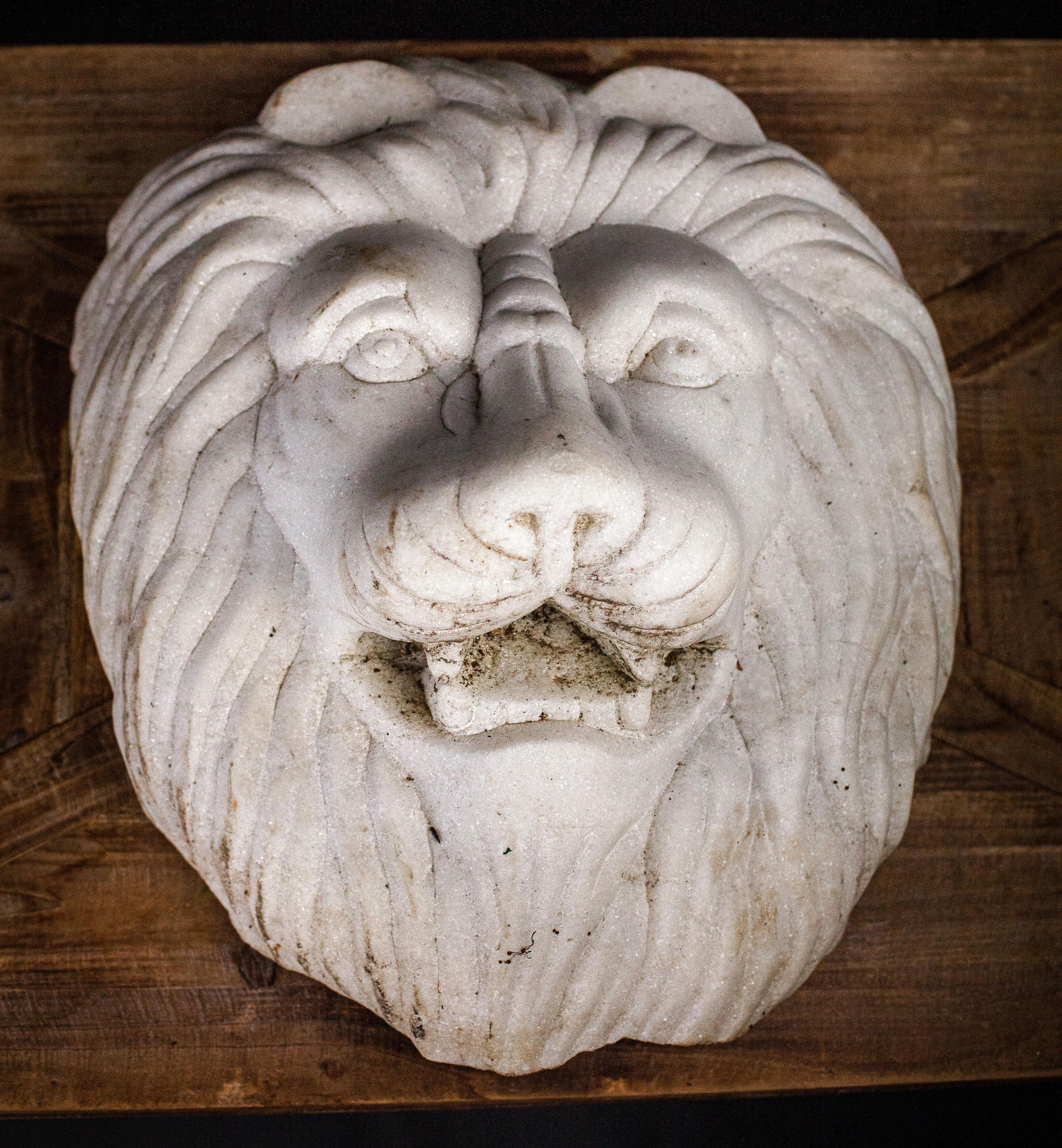 clay lion face