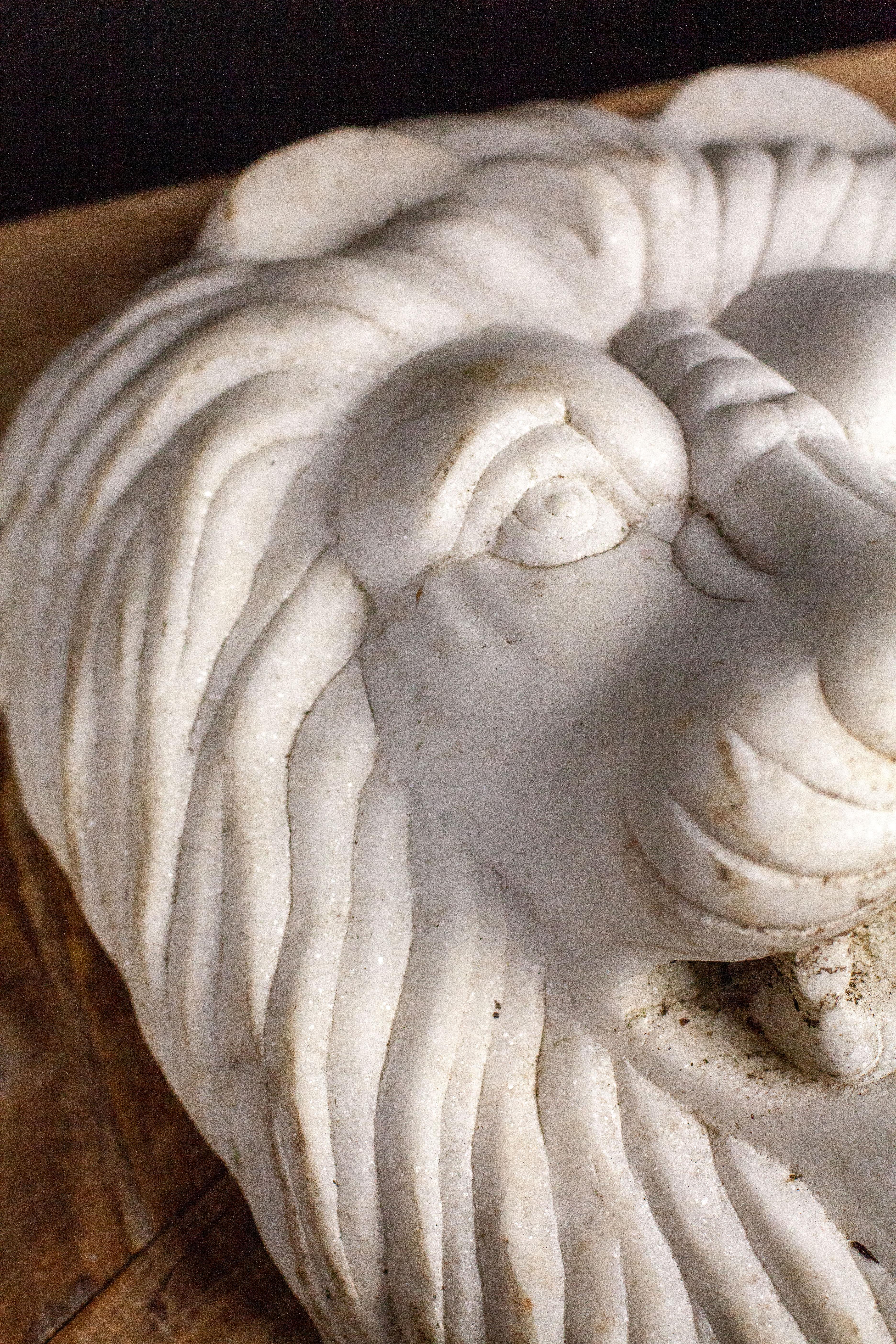 20th Century Marble Lion Head 