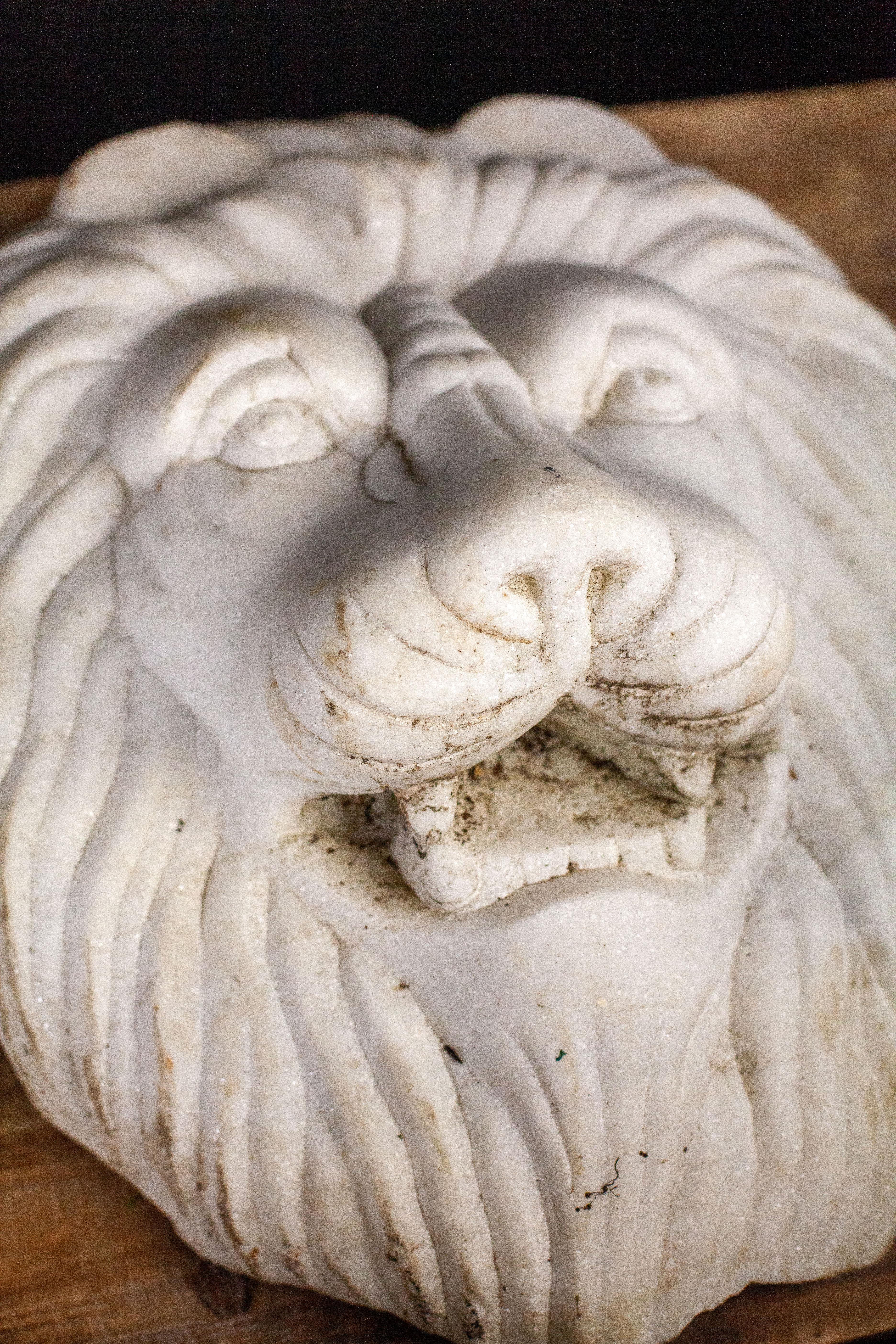 Marble Lion Head  1