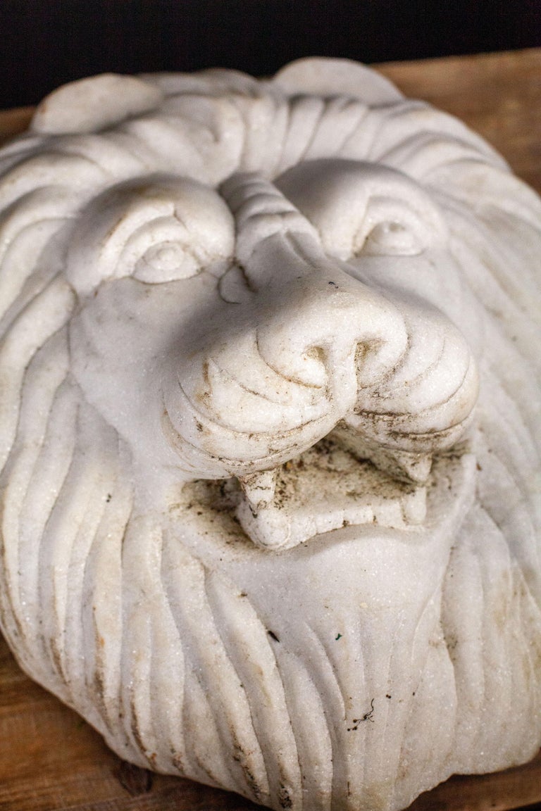 Marble Lion Head at 1stDibs