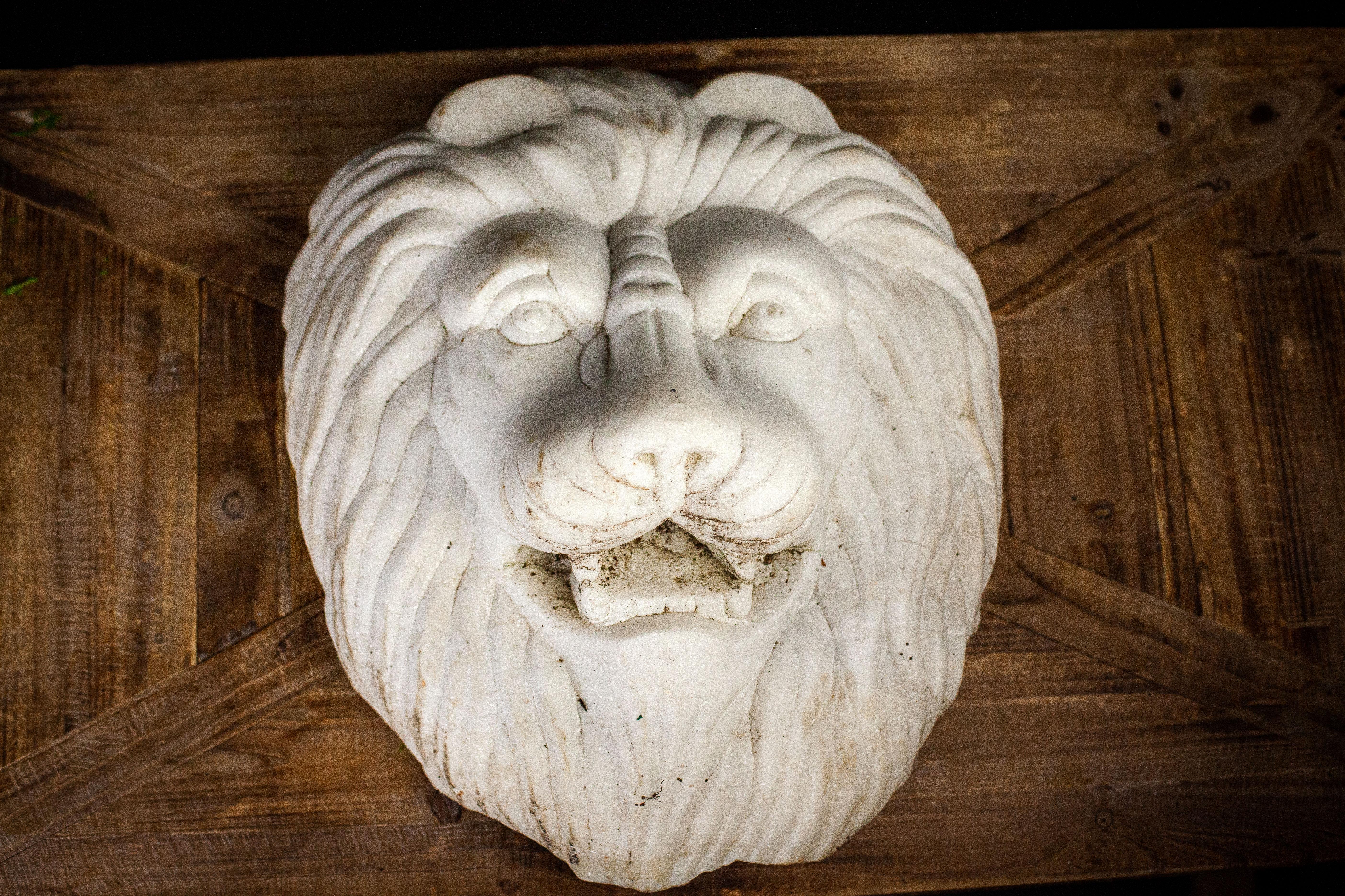 Marble Lion Head  2