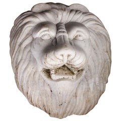 Marble Lion Head