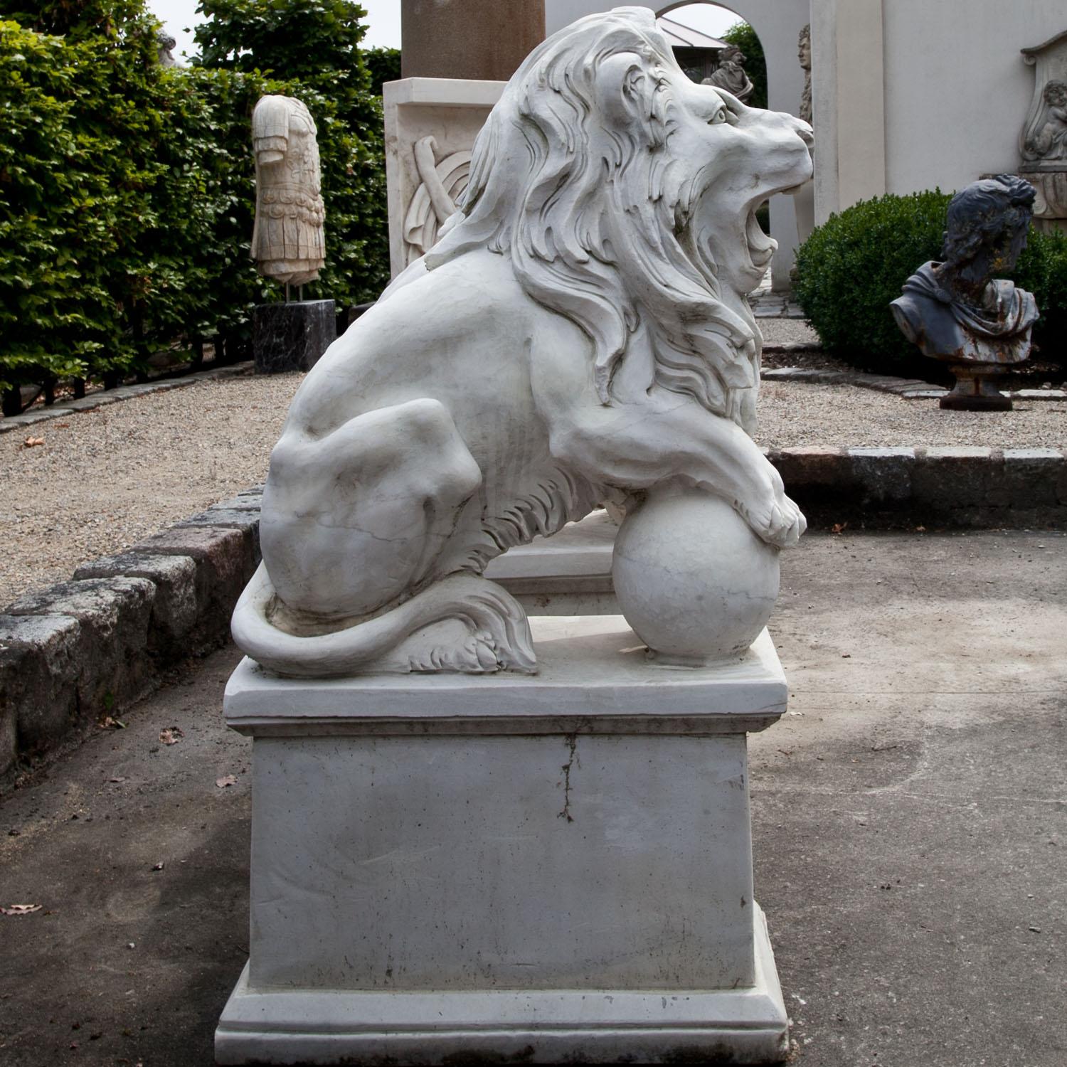 lions posture