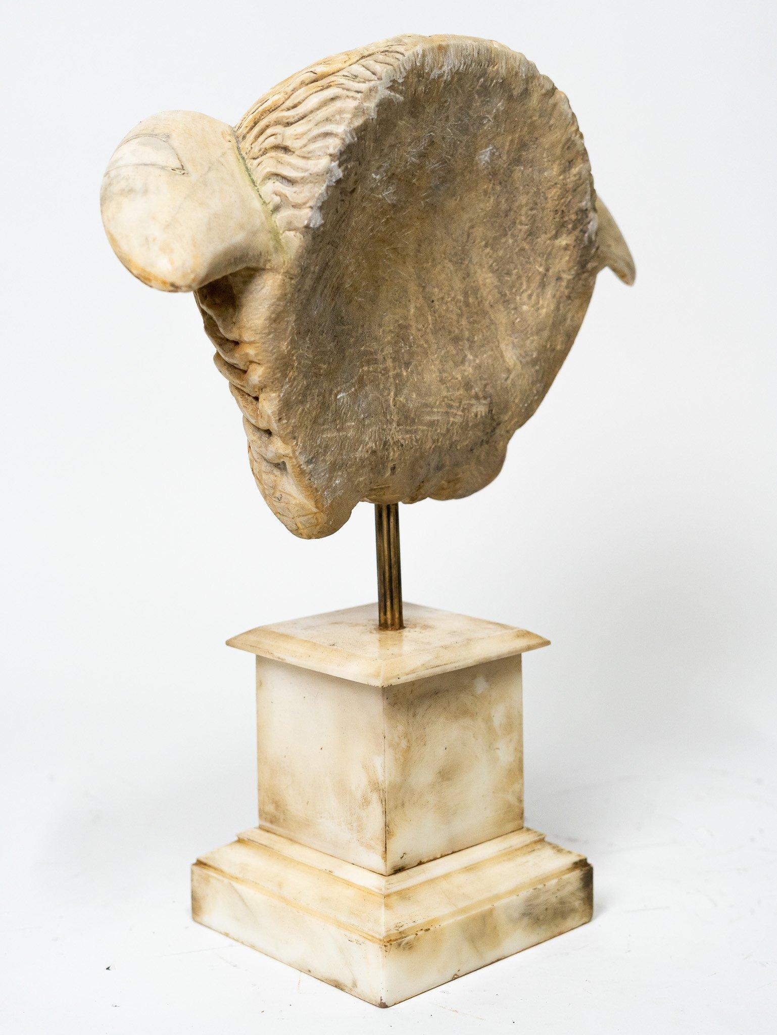 Late 20th Century Marble Medusa For Sale