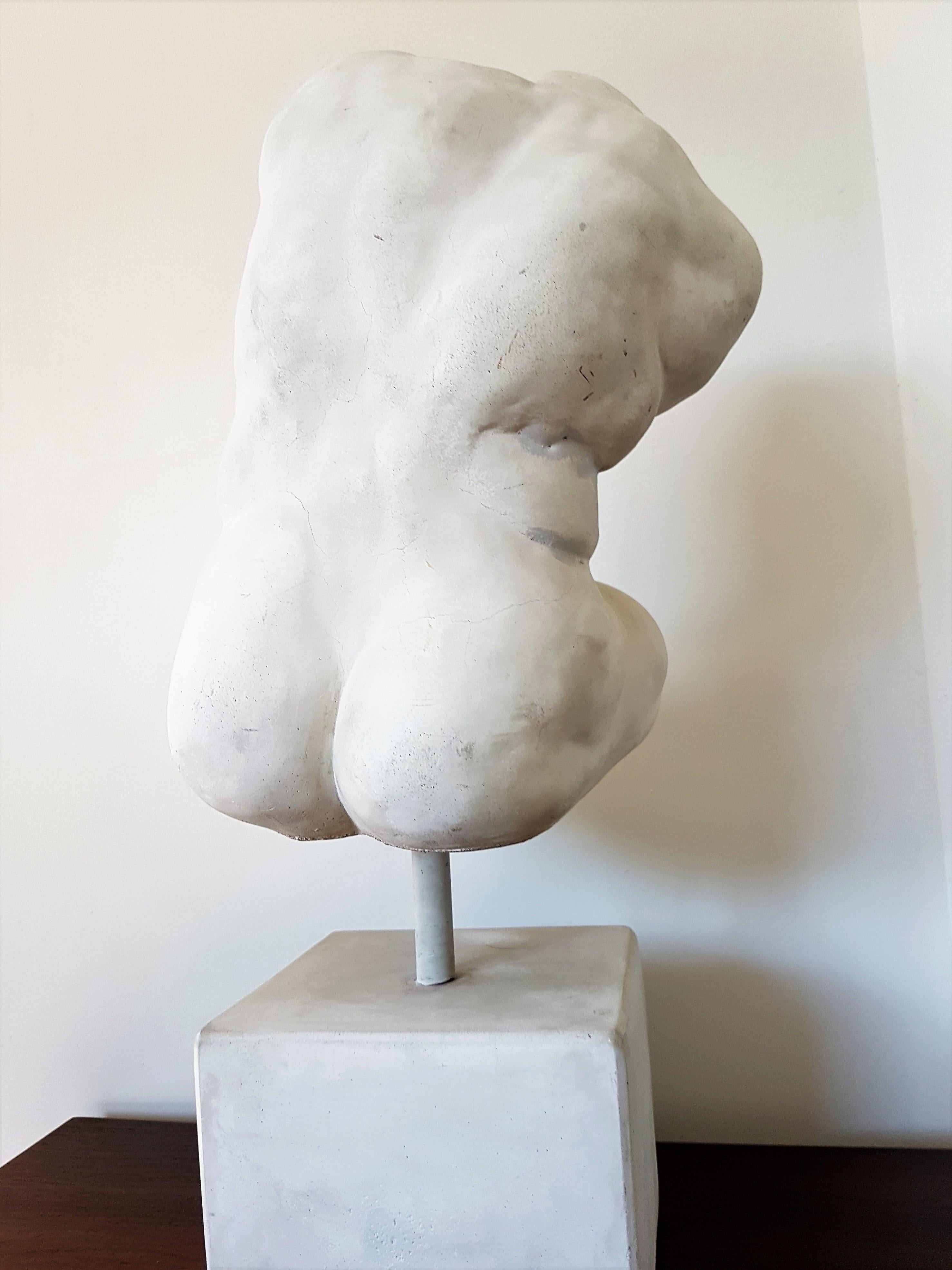 Classical Roman Marble Sculpture of “The Belvedere Torso