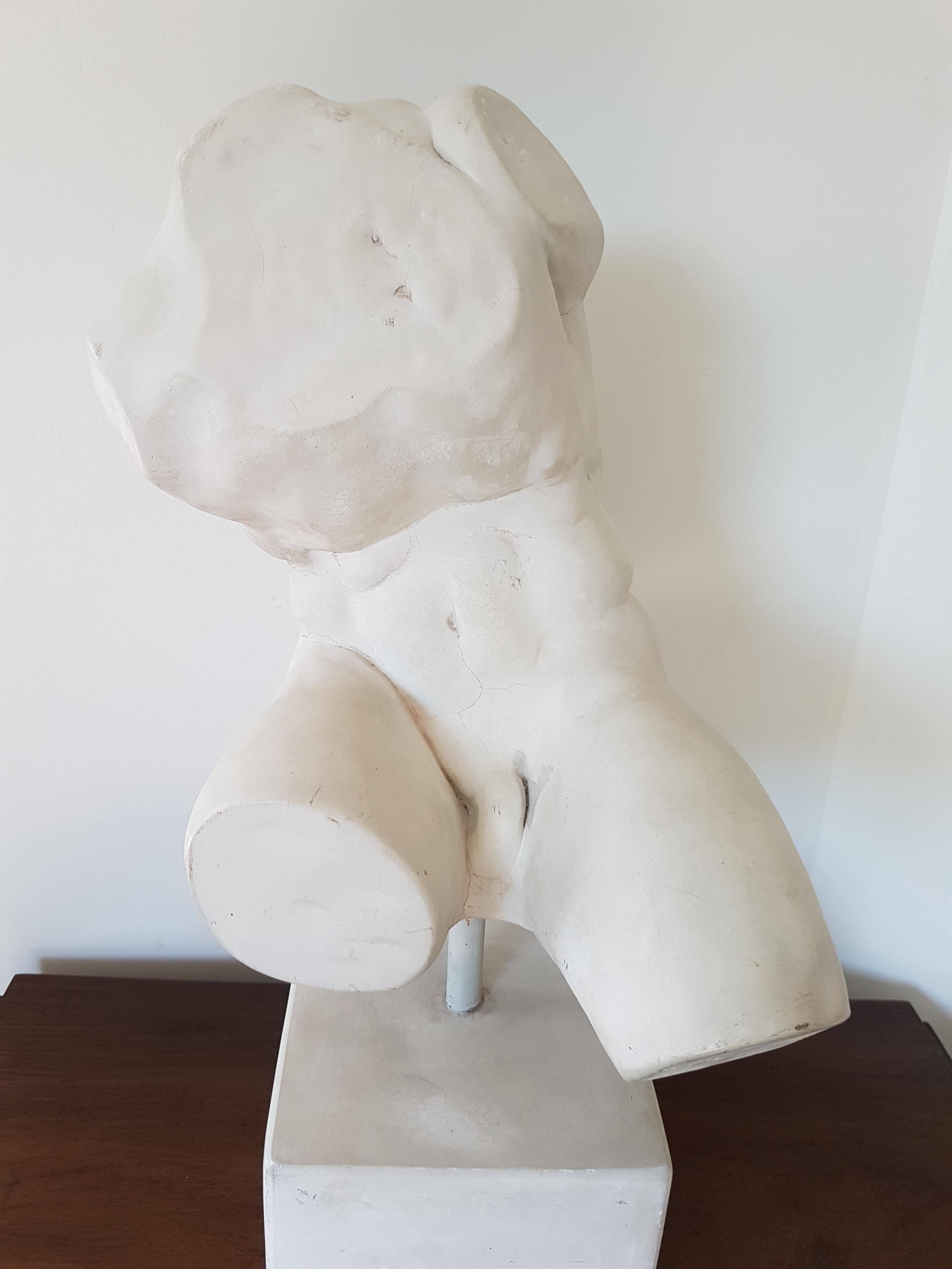 Marble Sculpture of “The Belvedere Torso