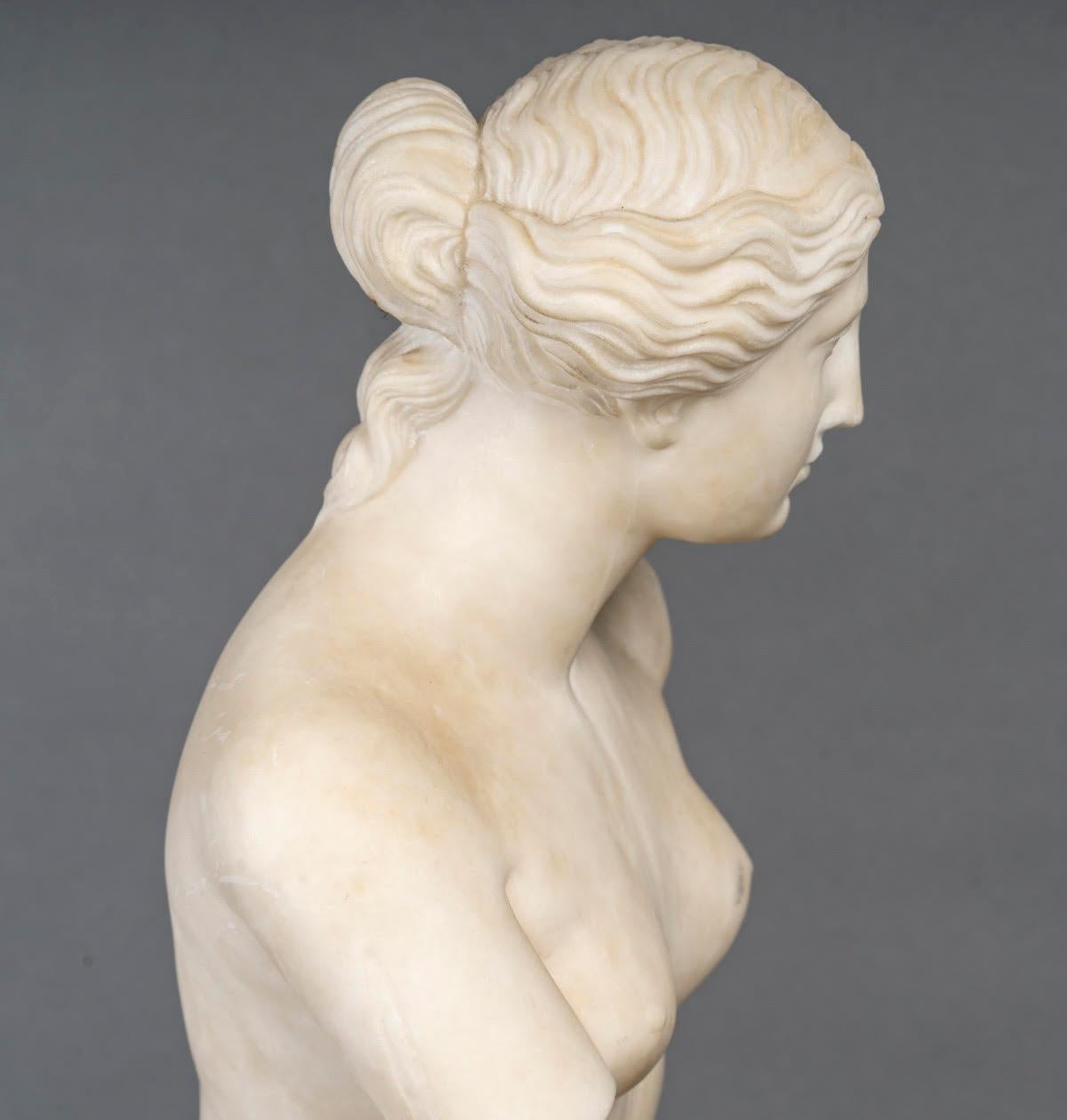 Marble Sculpture Representing the Venus de Milo, 20th Century. 3