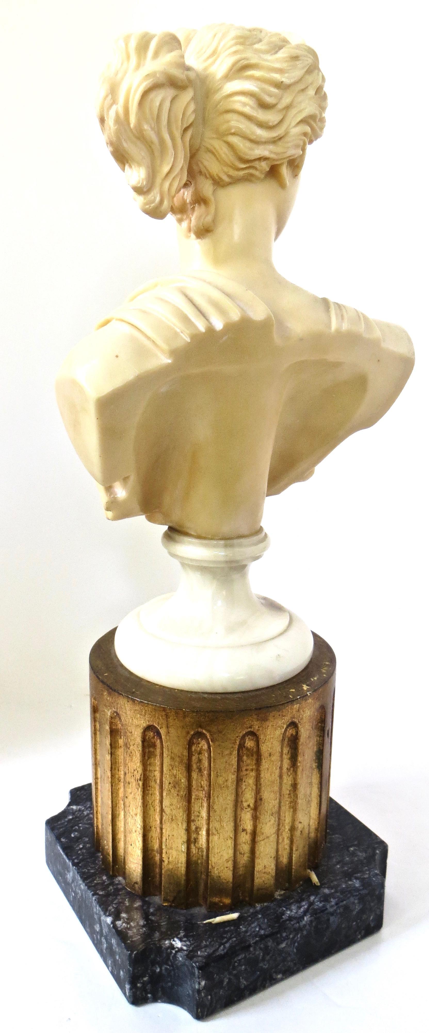 Classical Greek Marble Simulated Bust of 