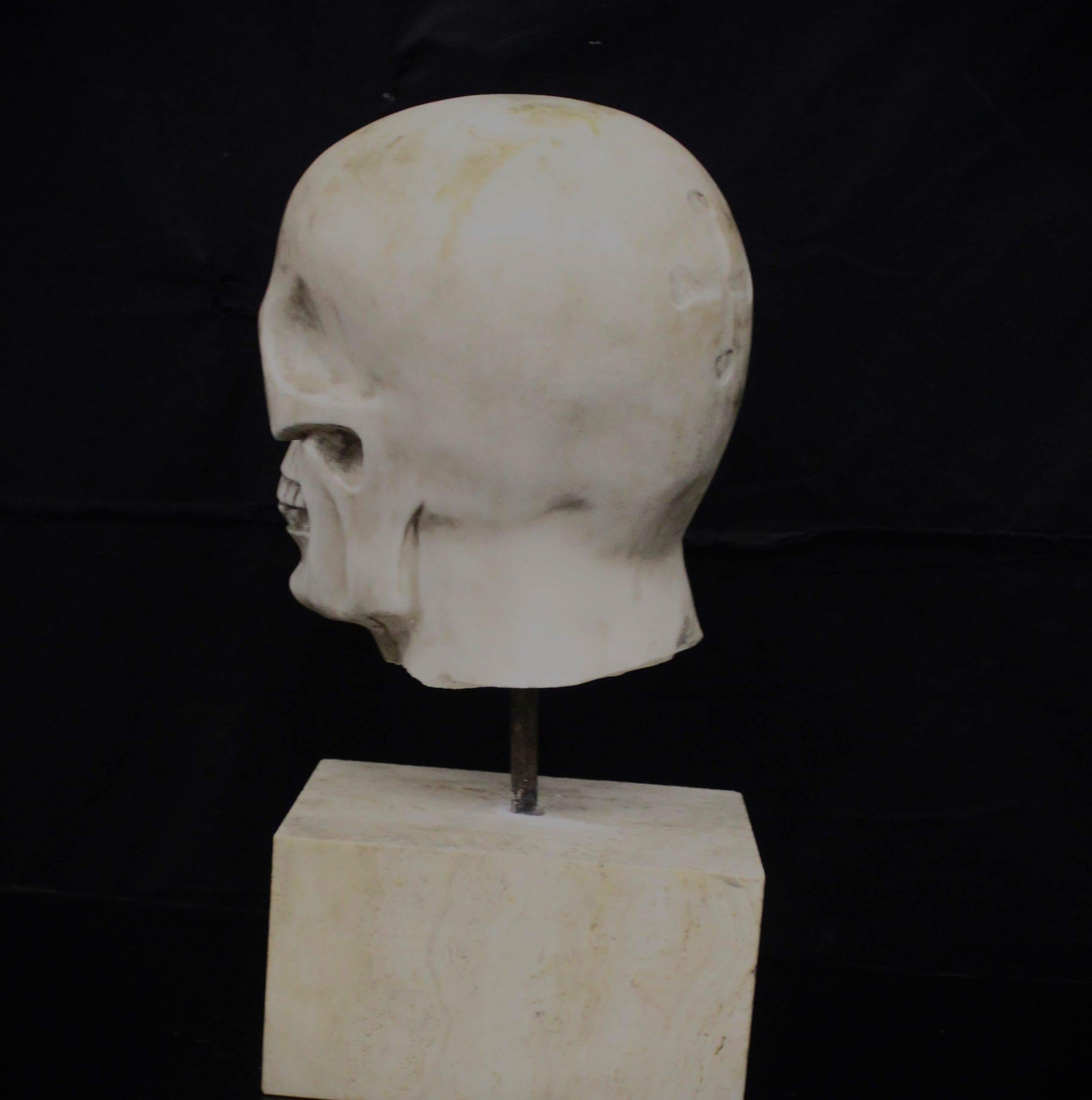 Marble Skull In Good Condition For Sale In Rome, IT