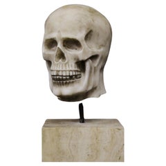 Marble Skull