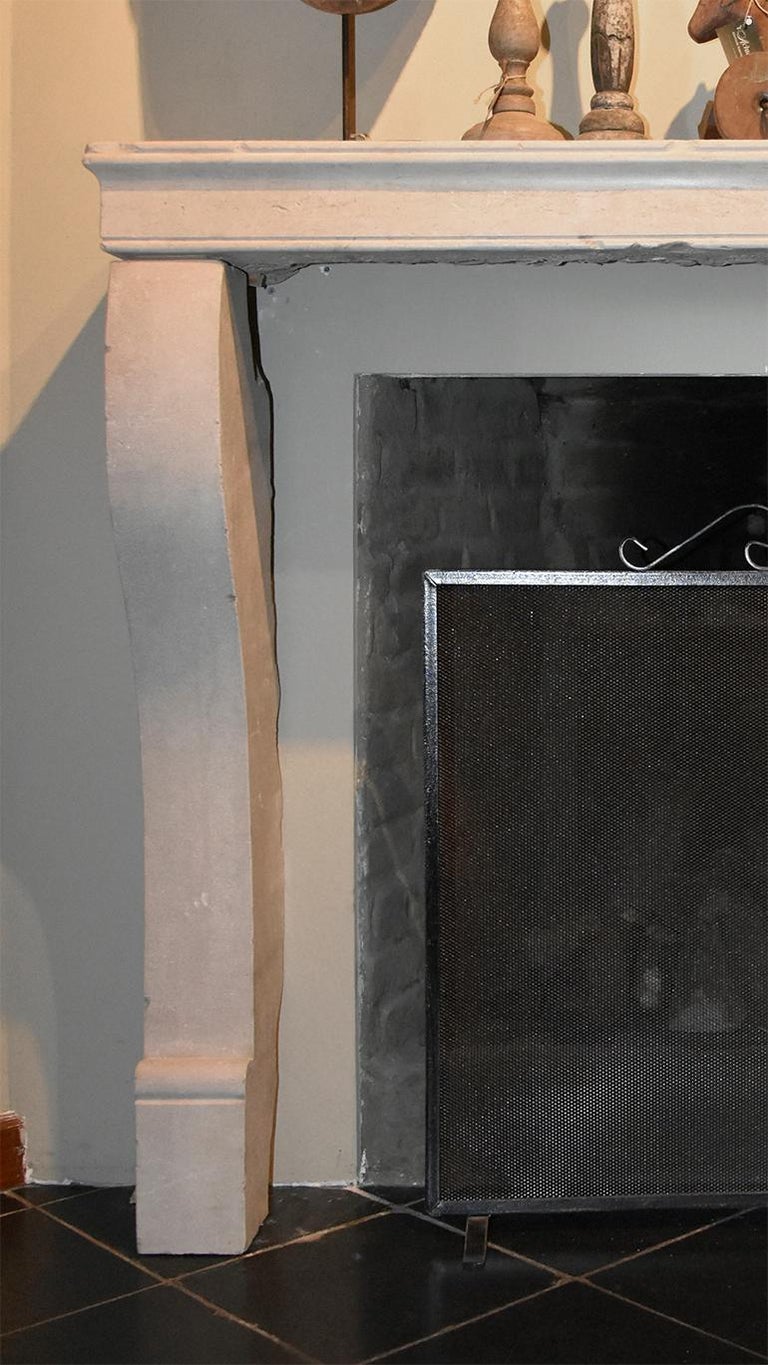 Marble Stone Fireplace Mantel 19th Century For Sale At 1stdibs