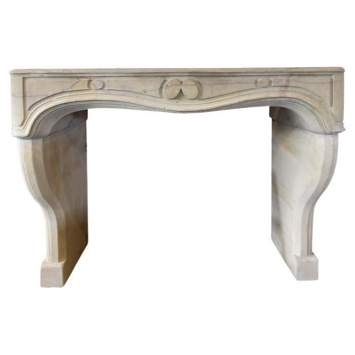 Marble stone fireplace mantel 19th Century For Sale