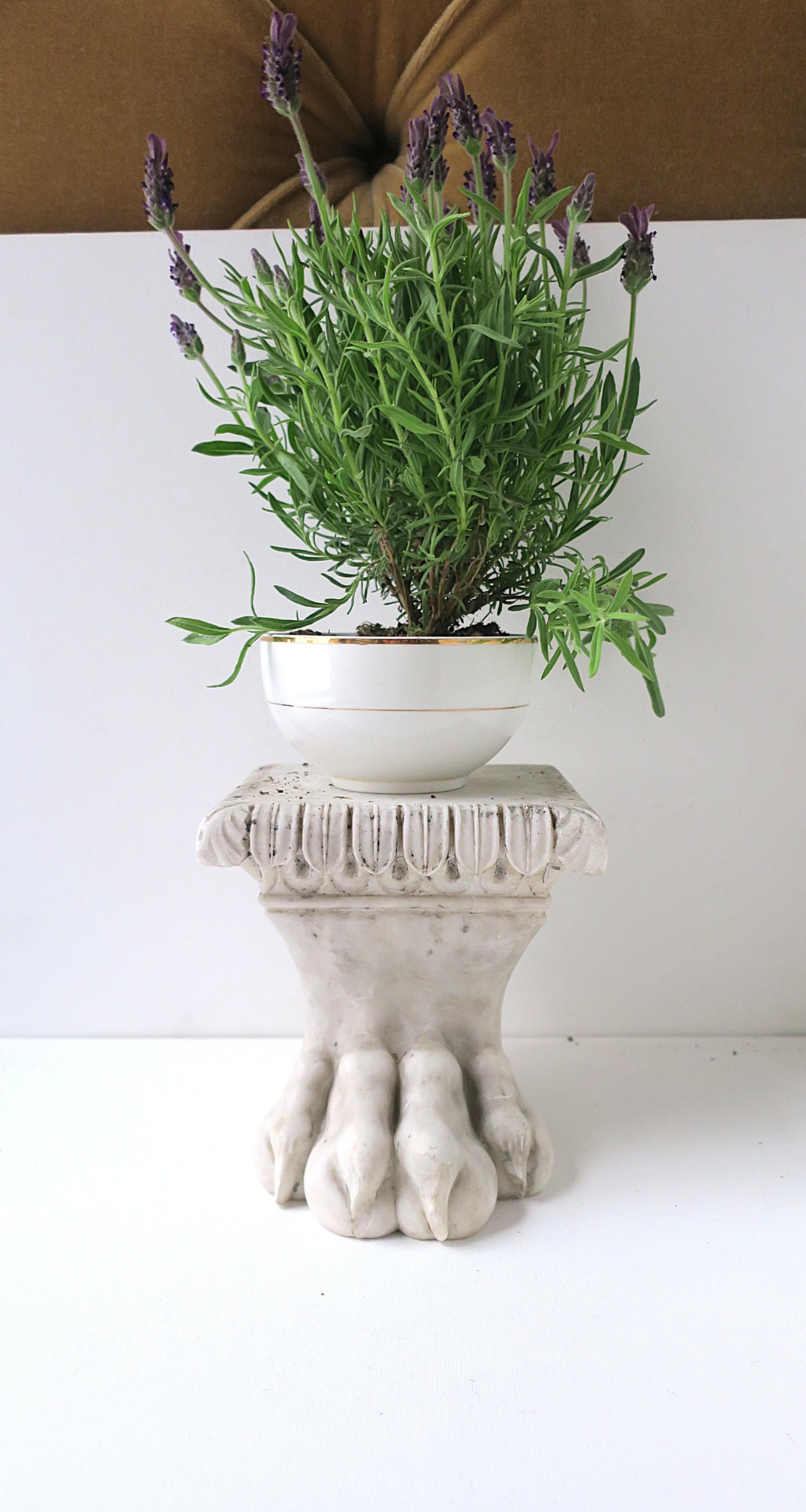 20ième siècle Marbre Tiger Lion Cat Paw Garden Elemental Garden Plant Stand