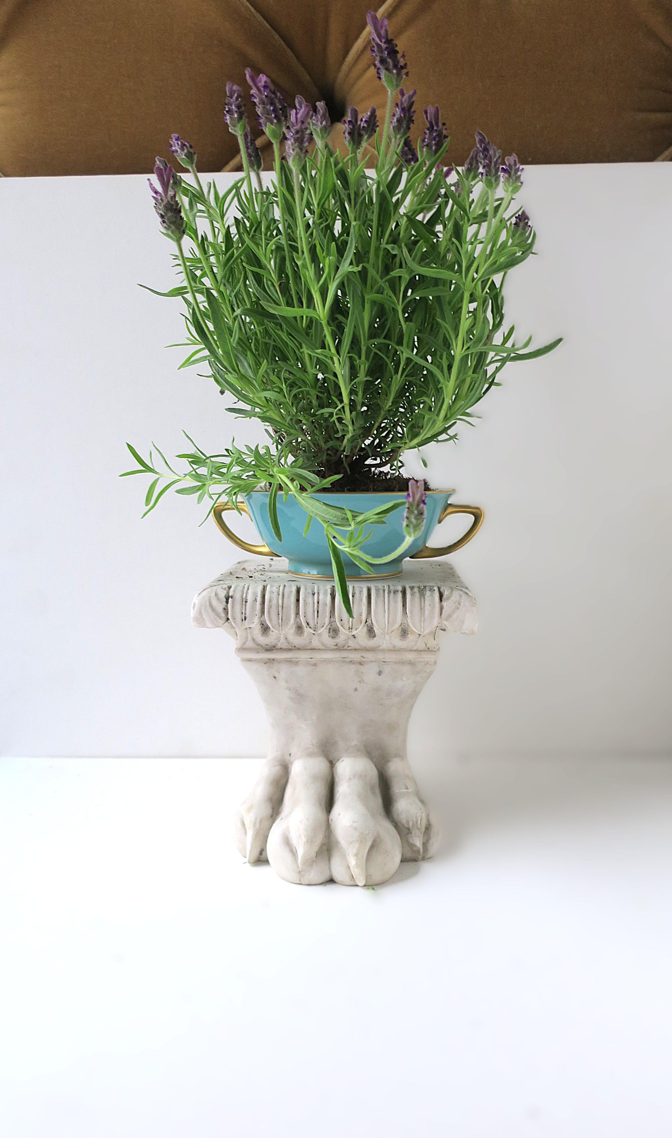Marbre Tiger Lion Cat Paw Garden Elemental Garden Plant Stand 1