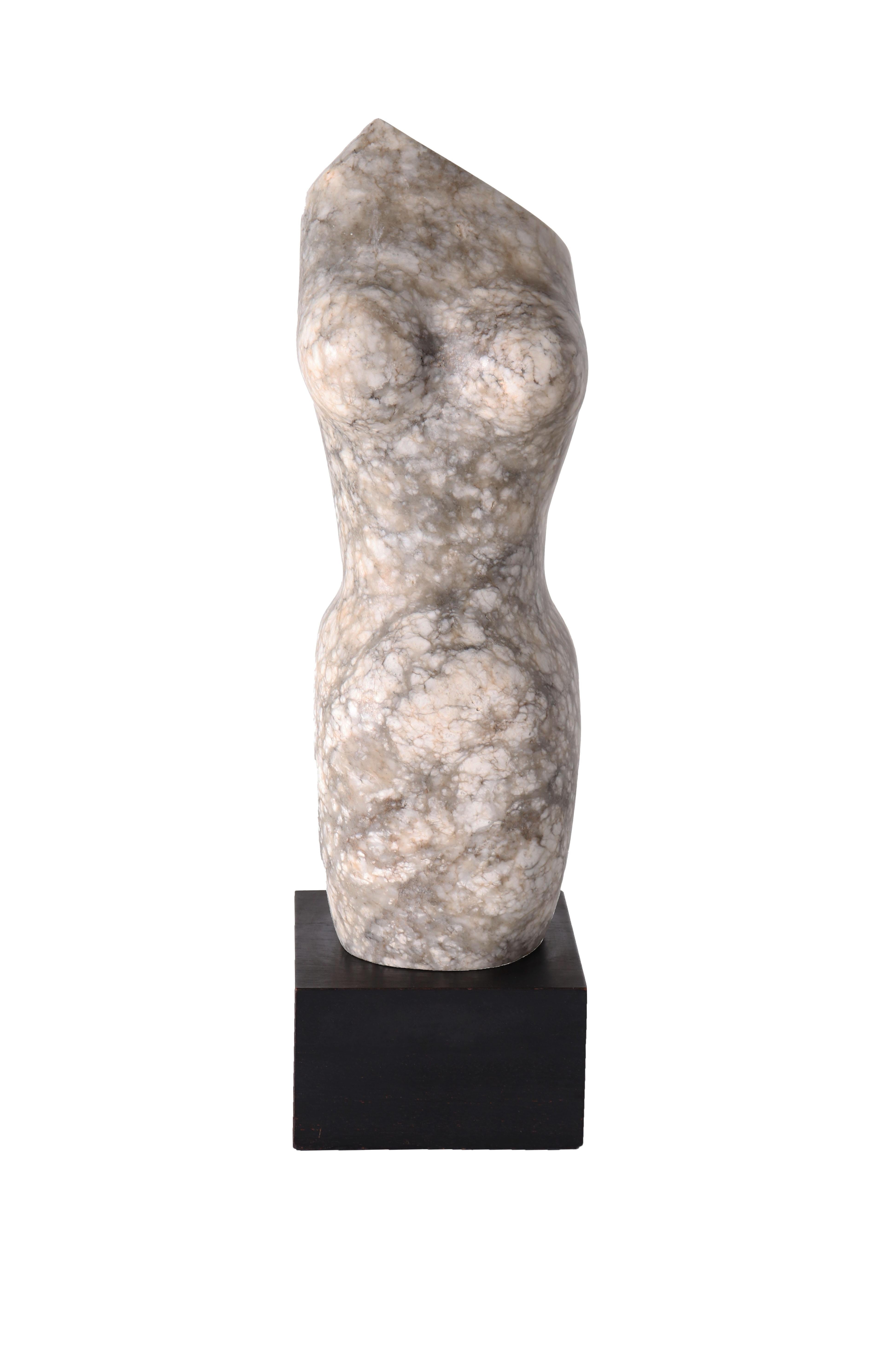 Marble Torso by Ny Artist Helga Britnitzer

One of a Kind sculpture sourced by our decor team.

  