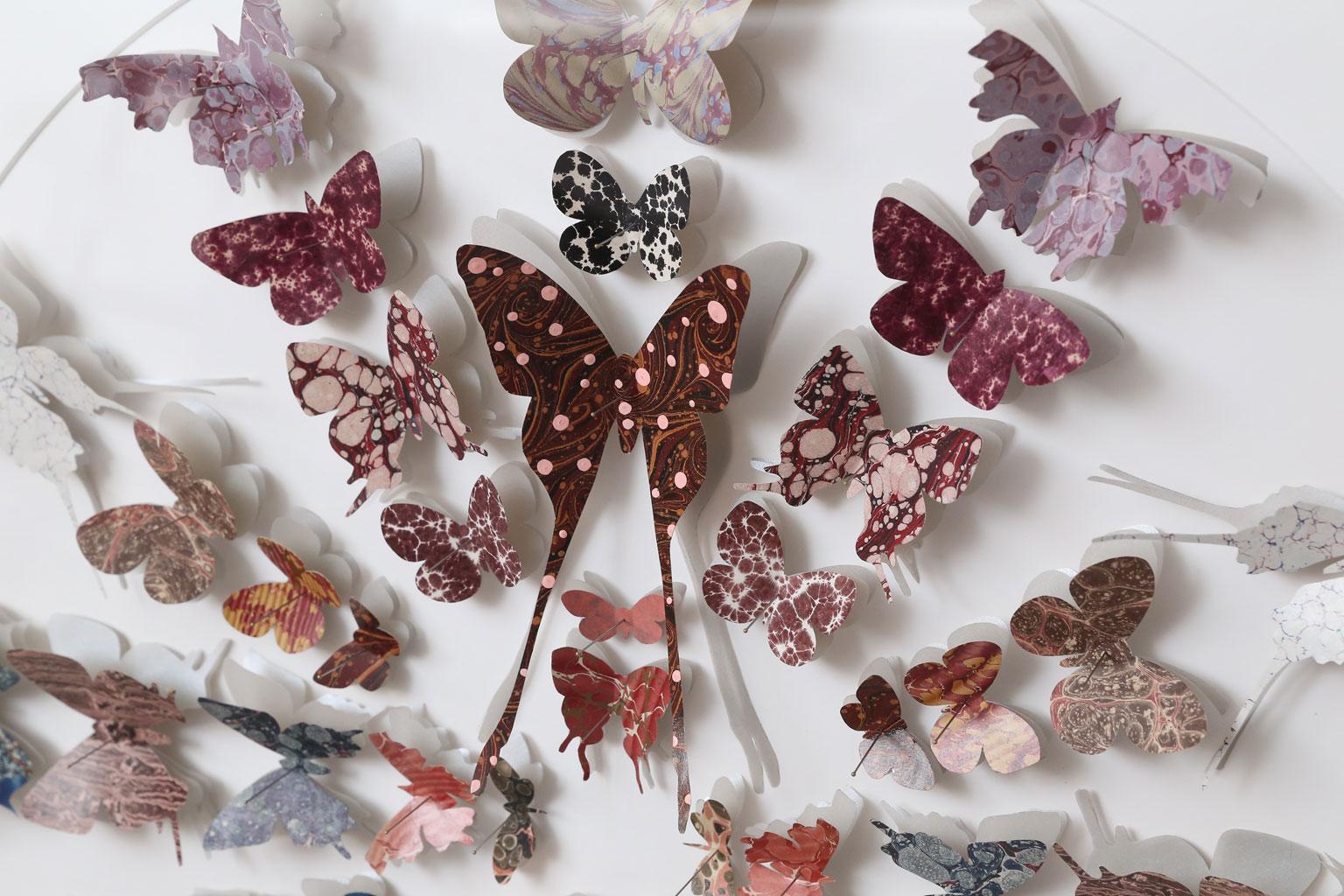 Marbleized paper butterfly box, marbleized end paper of various designs and colors, from antique books, cut into butterfly shapes and pinned as specimen within a large white-washed and silver leafed framed shadowbox.