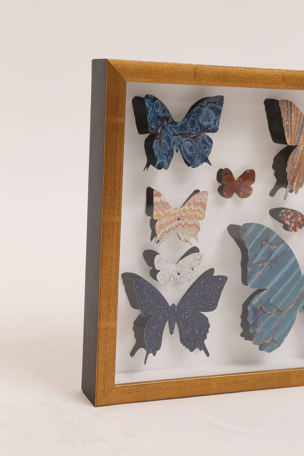 butterfly boxes for sale