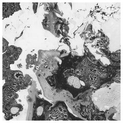 Marbre, Black and White Marble Printed Wallpaper